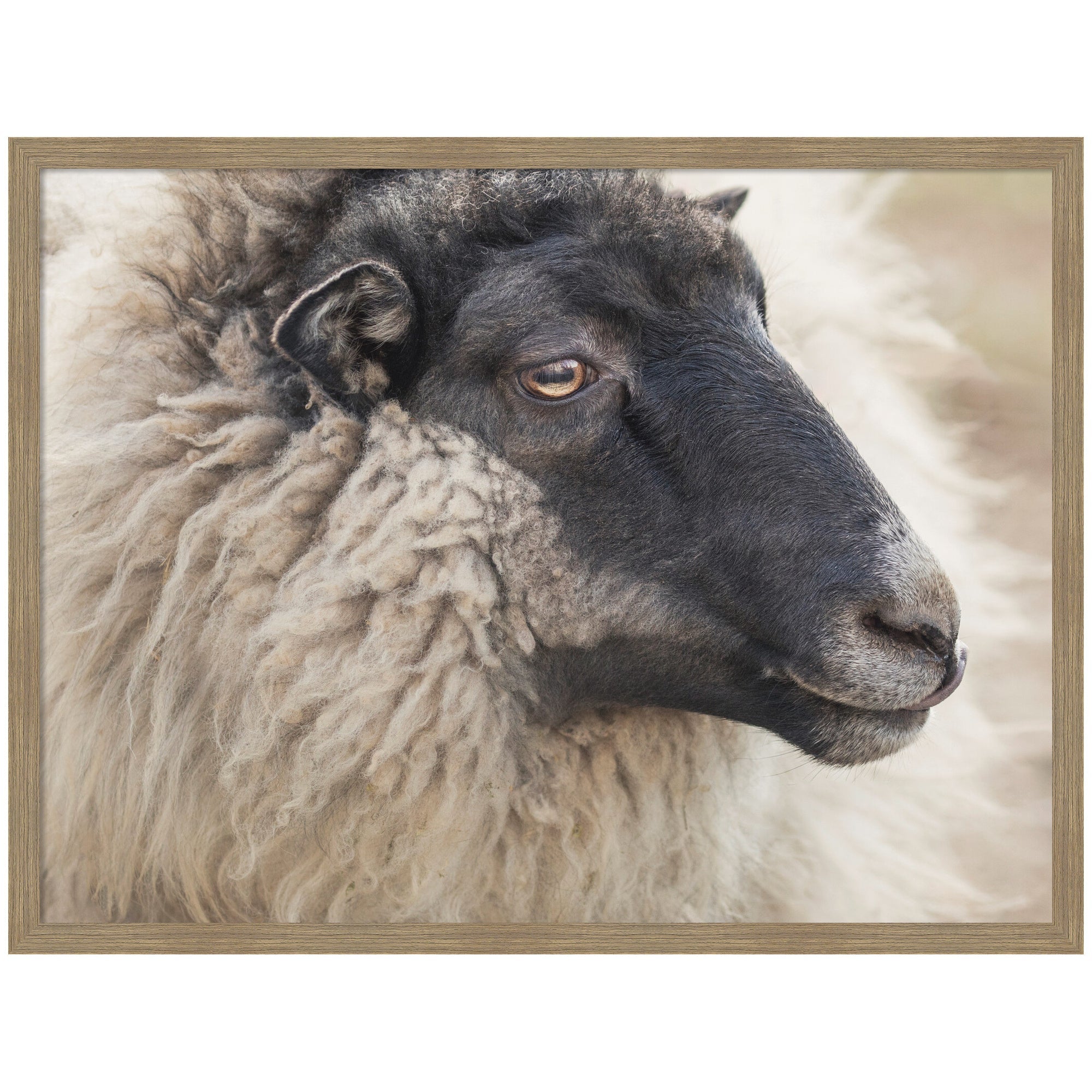 Edward Crop framed wall art print showing a detailed artistic image with hand-crafted frame