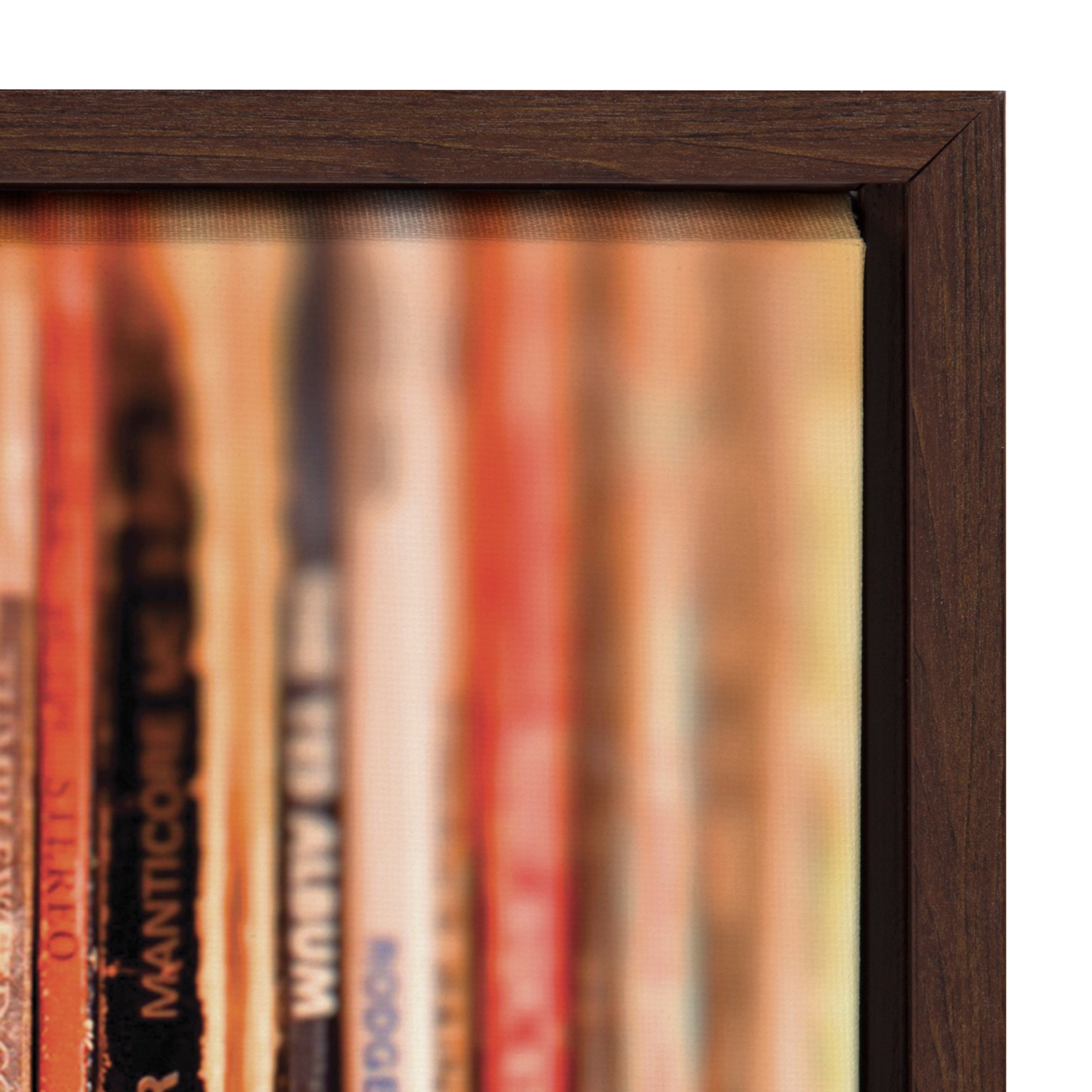 Sylvie Records Framed Canvas by Robert Cadloff of Bomobob by kateandlaurel - product image 19 for Resin Society