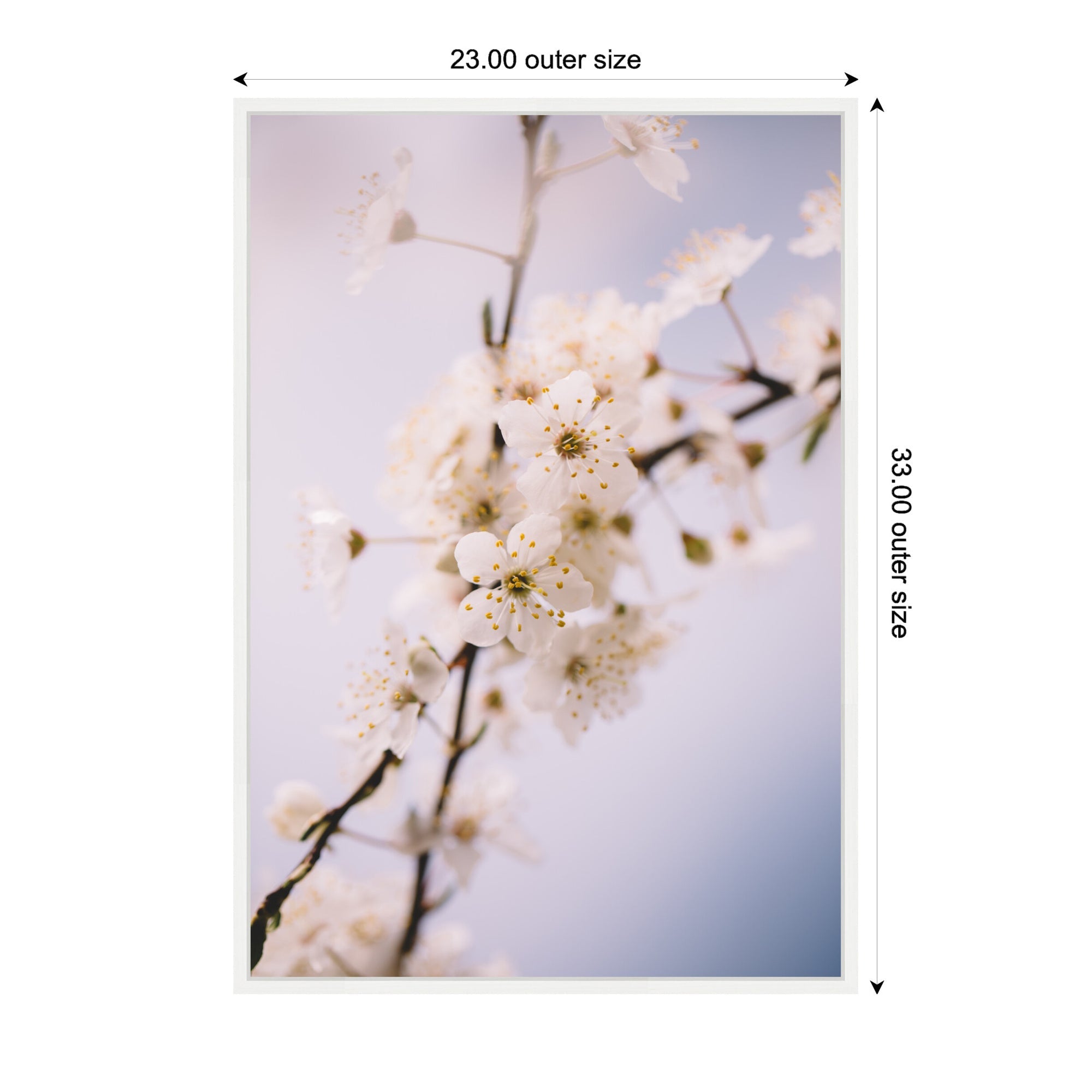 Sylvie Nature White Floral Blooms Framed Canvas by Patricia Hasz