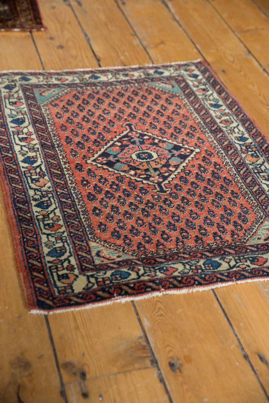 2x2.5 Vintage Engelas Square Rug Mat by Old New House® - product image 3 for Resin Society