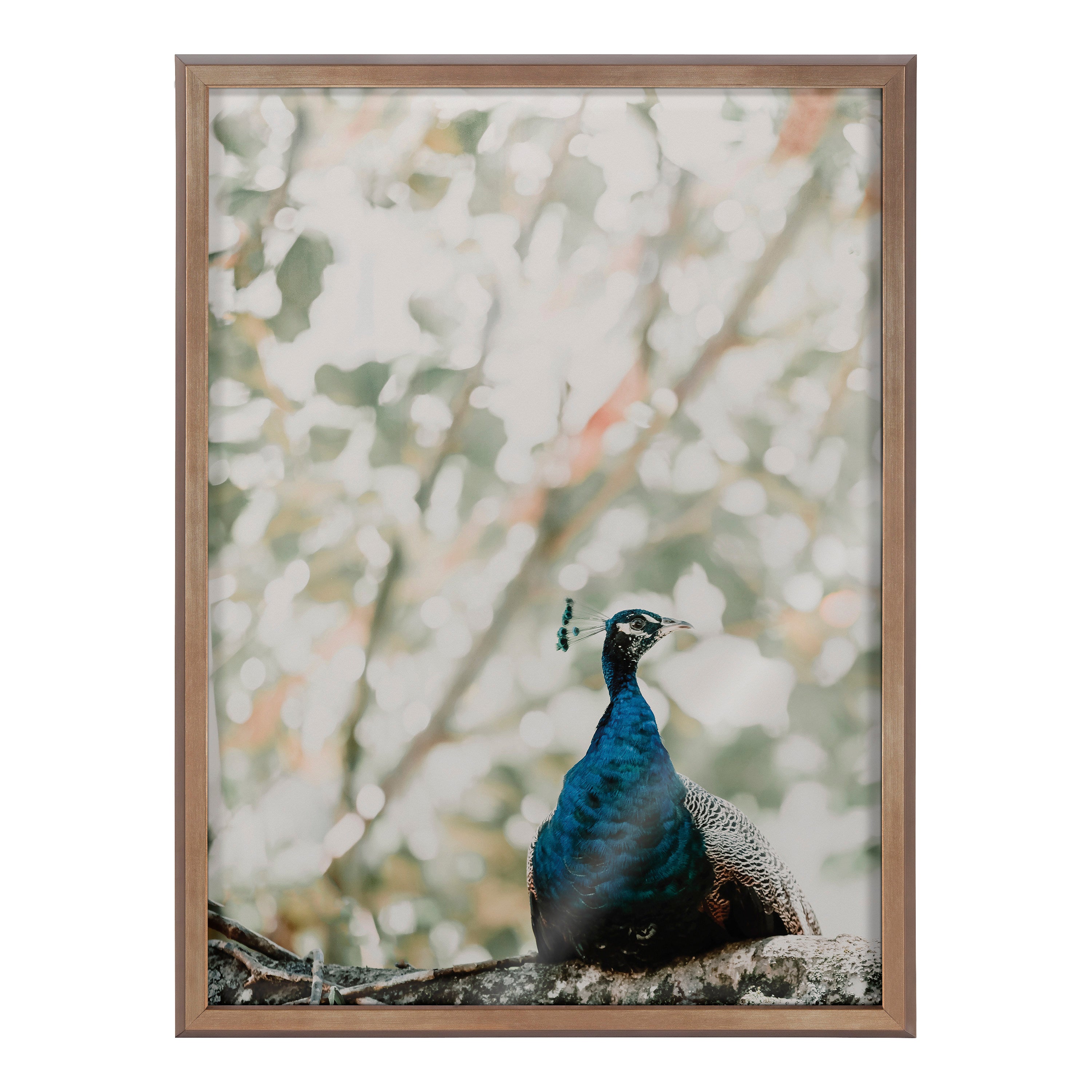 Blake Peacock Framed Printed Glass by Alicia Abla by kateandlaurel - product image 2 for Resin Society