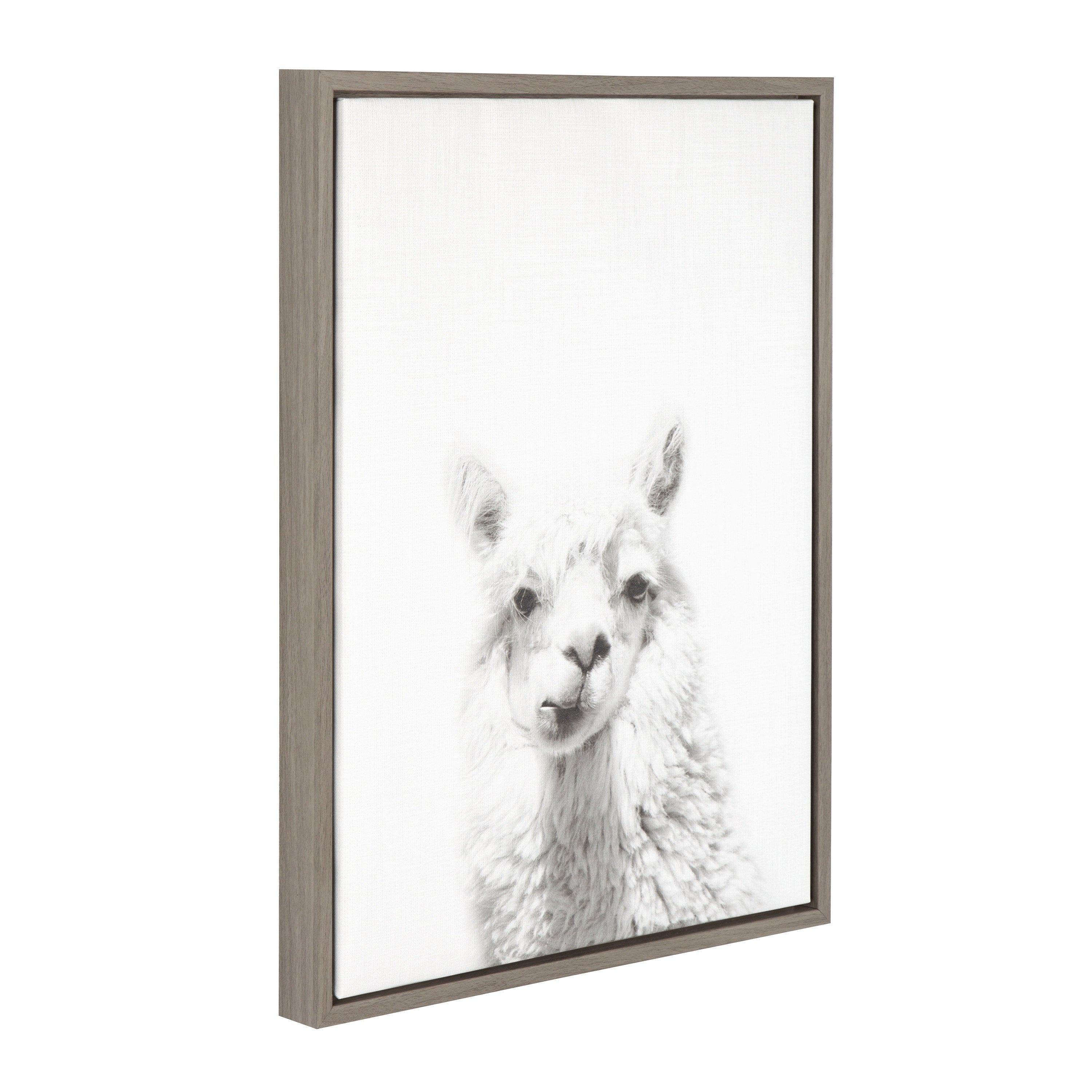 Sylvie Alpaca Framed Canvas by Simon Te of Tai Prints
