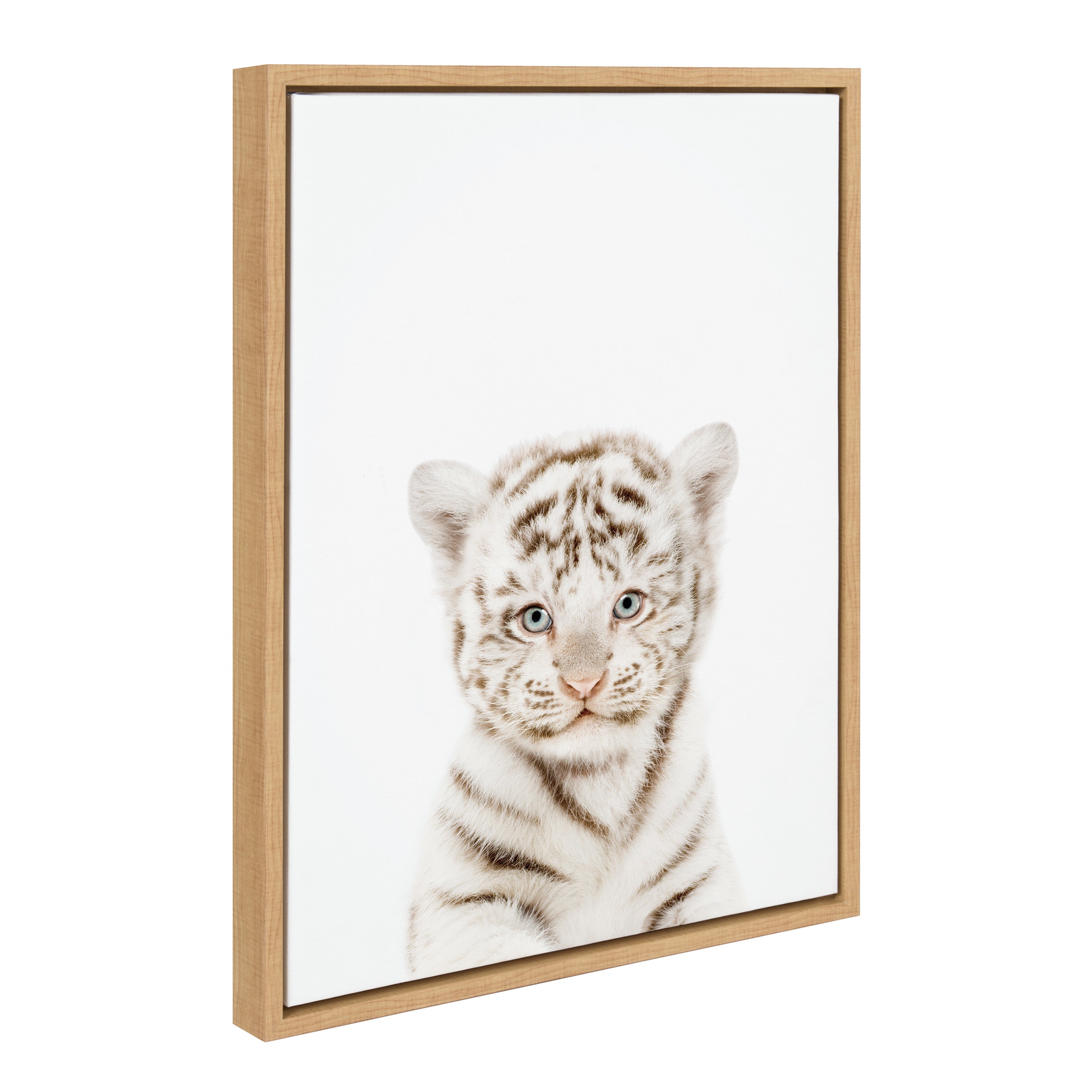 Sylvie Animal Studio Baby White Tiger Framed Canvas by Amy Peterson Art Studio