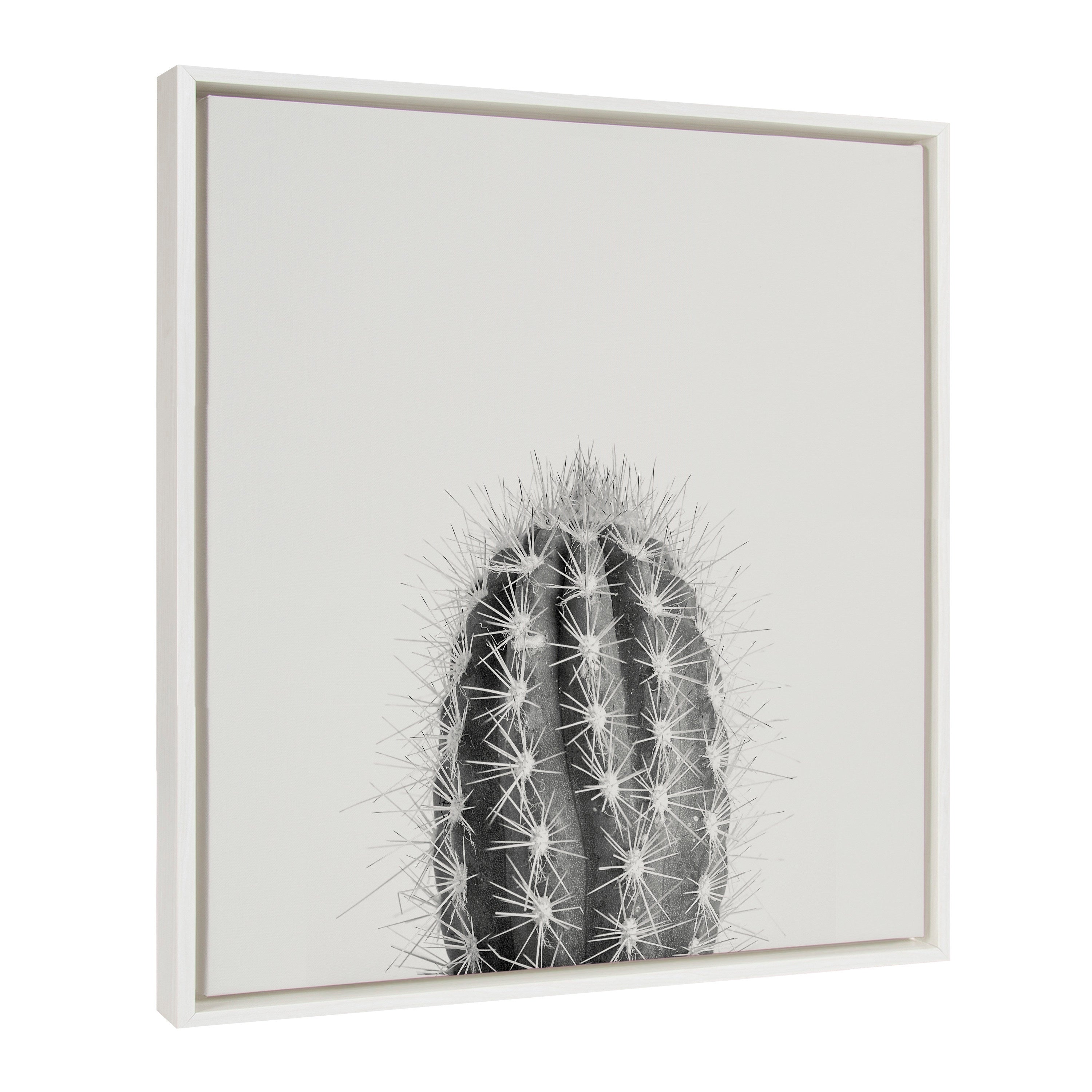 Sylvie Haze Cactus Succulent Tall Framed Canvas