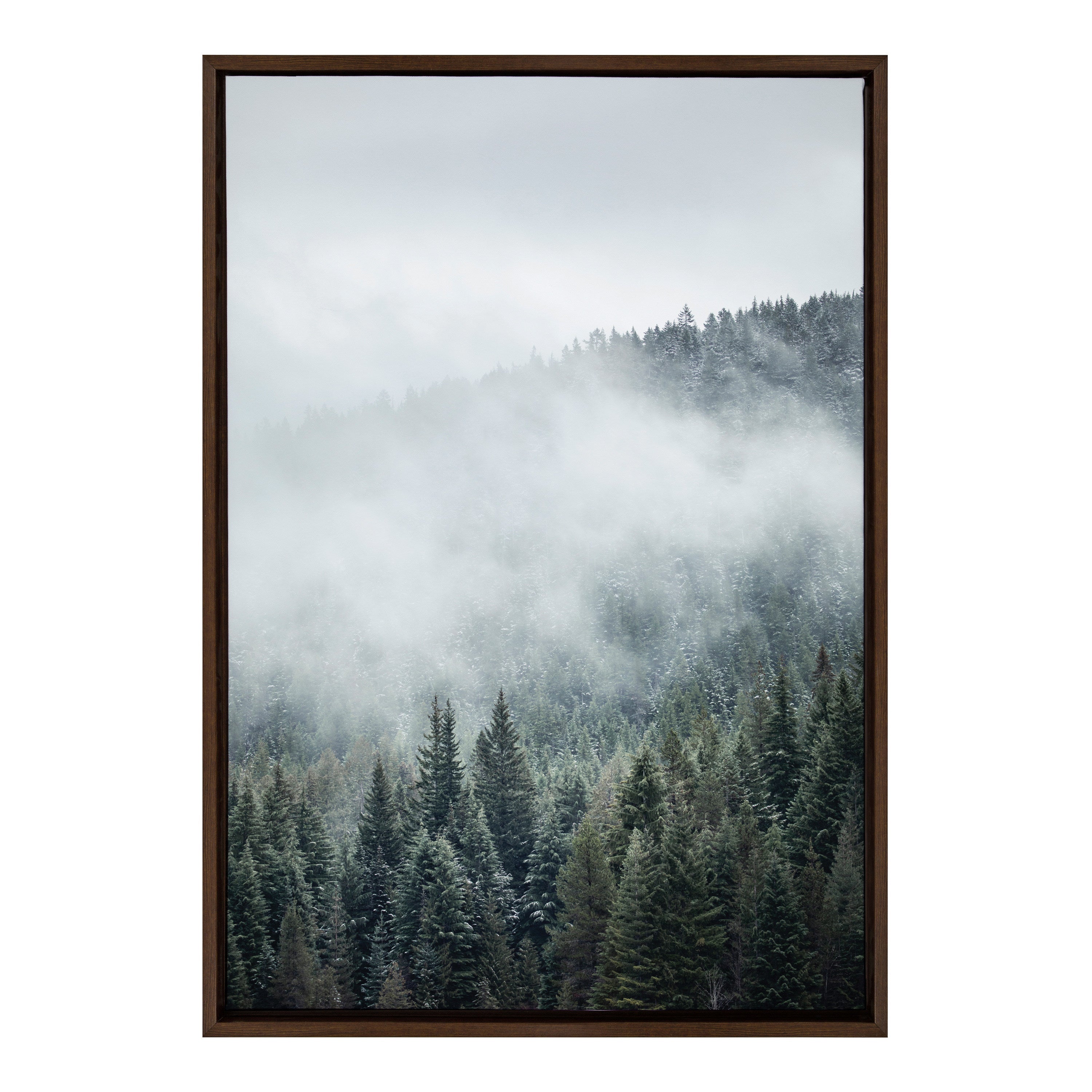 Sylvie Evergreens In Fog Framed Canvas by Emiko and Mark Franzen of F2Images