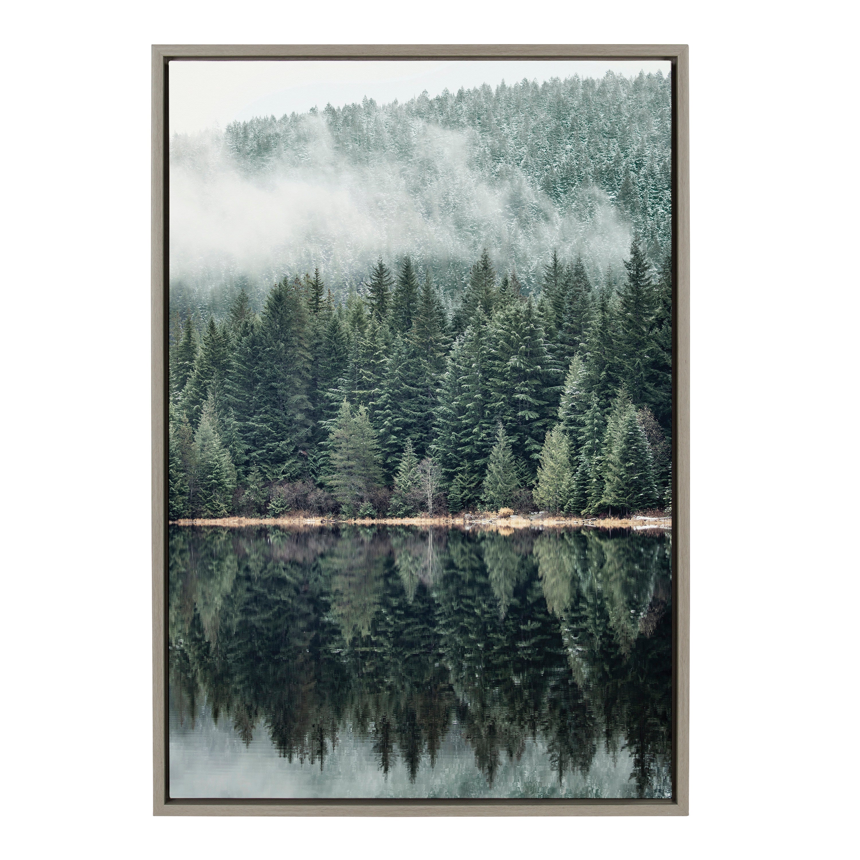 Sylvie Evergreen Reflections Framed Canvas by Emiko and Mark Franzen of F2Images