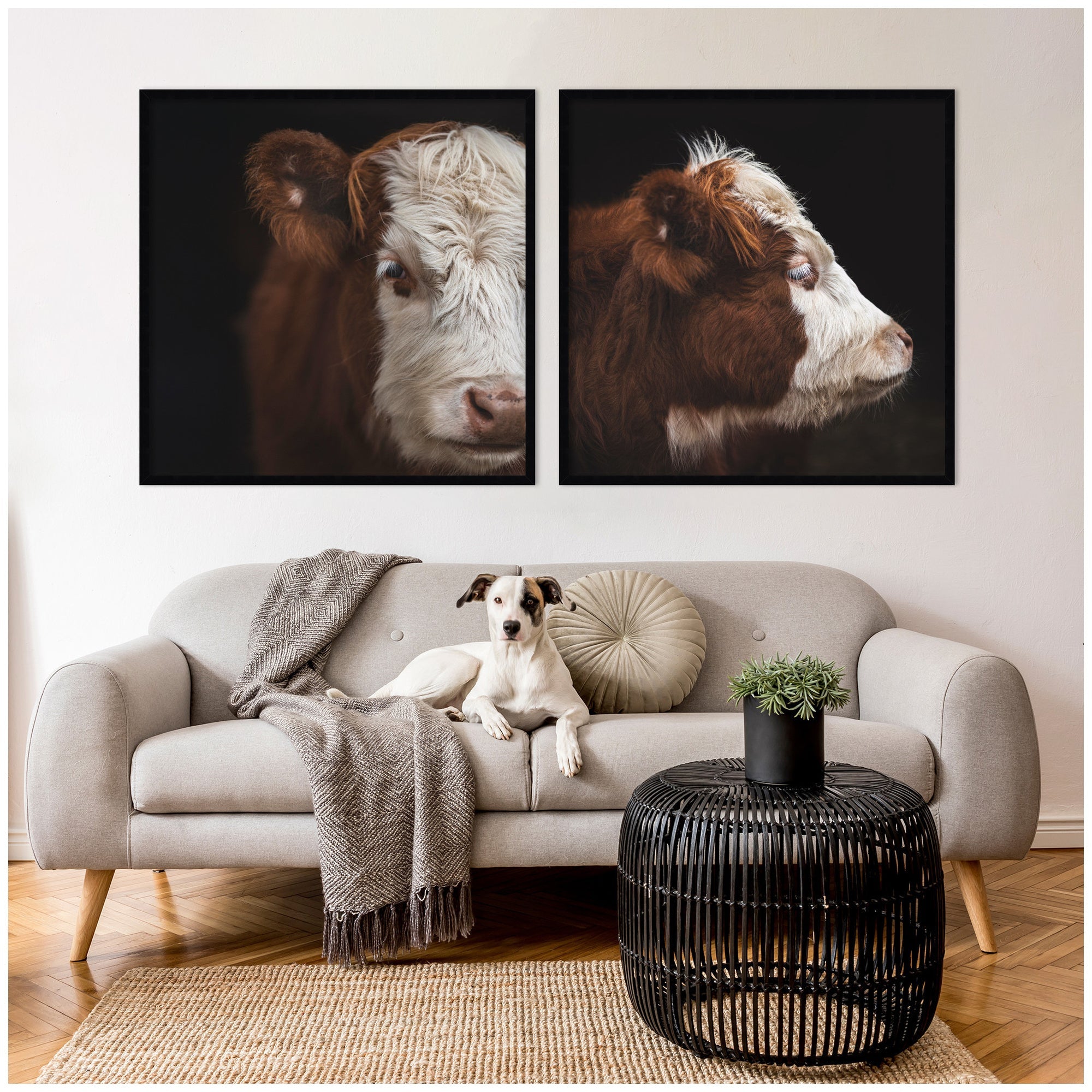 Cow Close 2 Piece Framed Wall Art Print Set by Emiko and Mark Franzen F2 Images