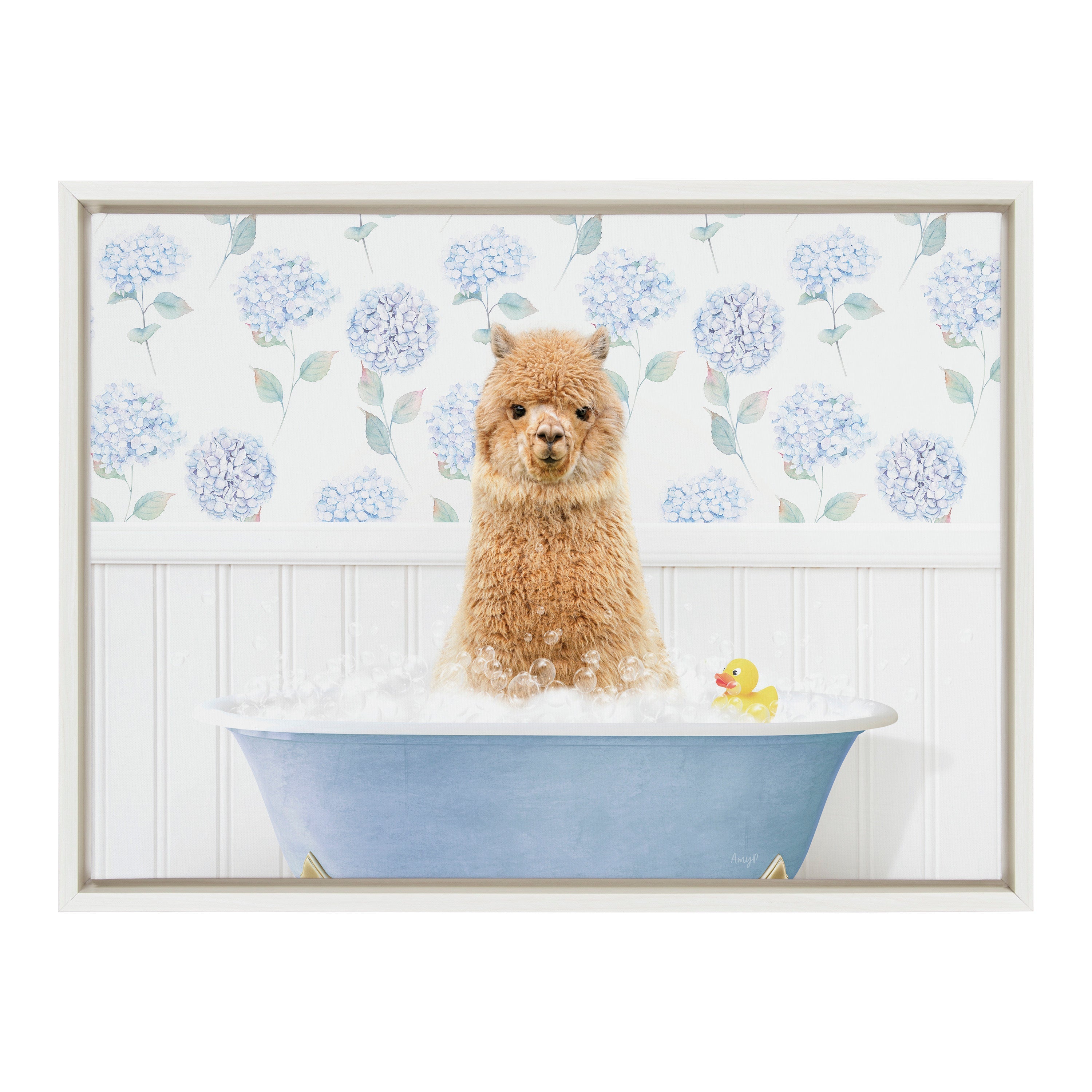Sylvie Baby Alpaca in Hydrangea Bubble Bathtub Framed Canvas by Amy Peterson