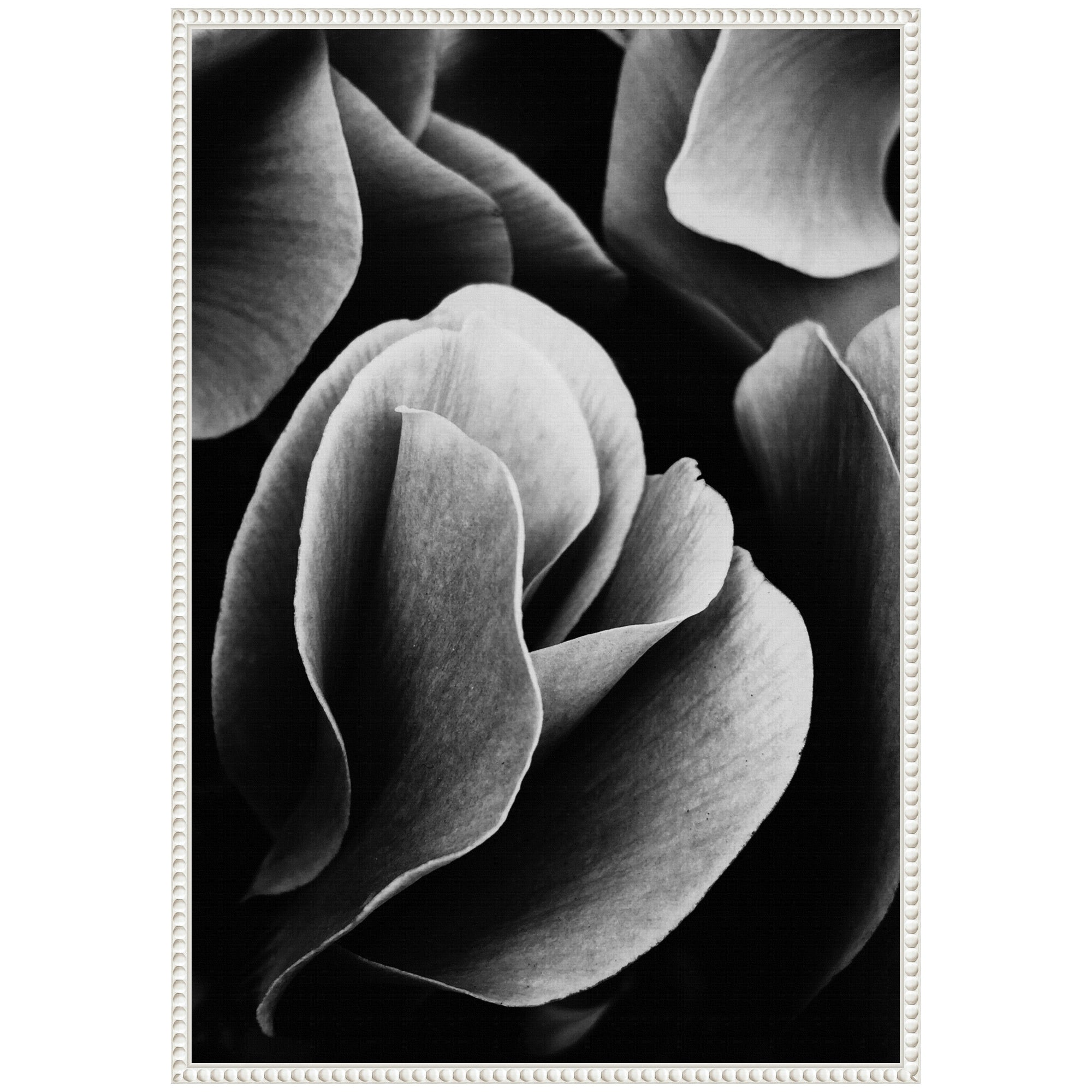 Sylvie Black and White Flower Petals Framed Canvas by Emiko and Mark Franzen of F2Images