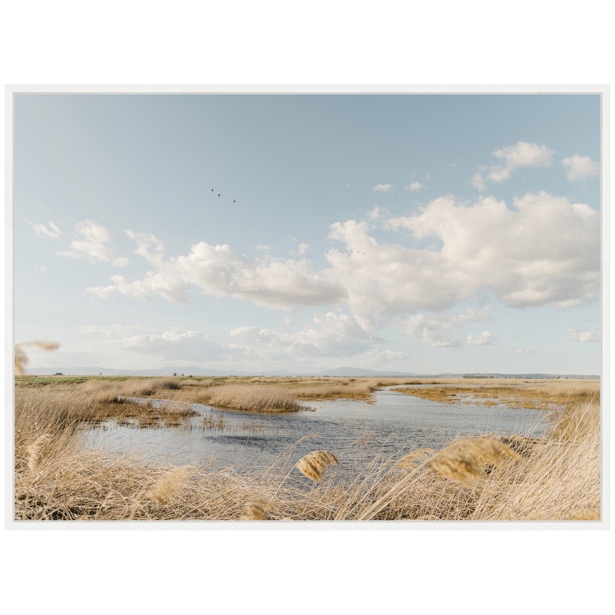 Sylvie Marshland Framed Canvas by Crystal Lynn Collins