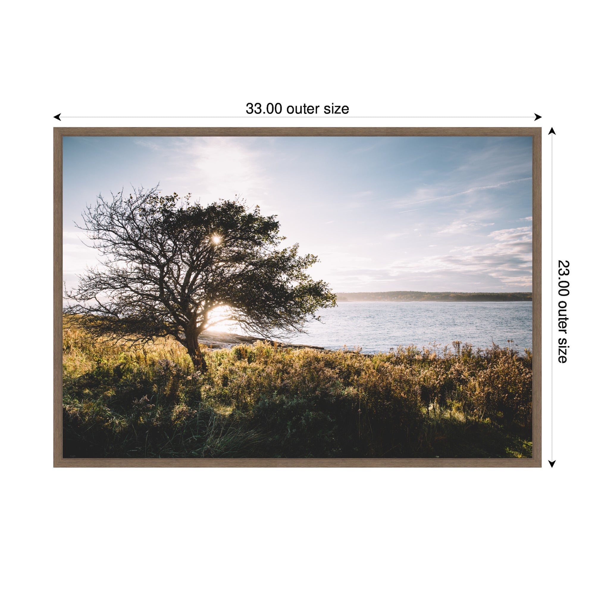 Sylvie Coastal Serene Sunset Tree Landscape Framed Canvas by Patricia Hasz