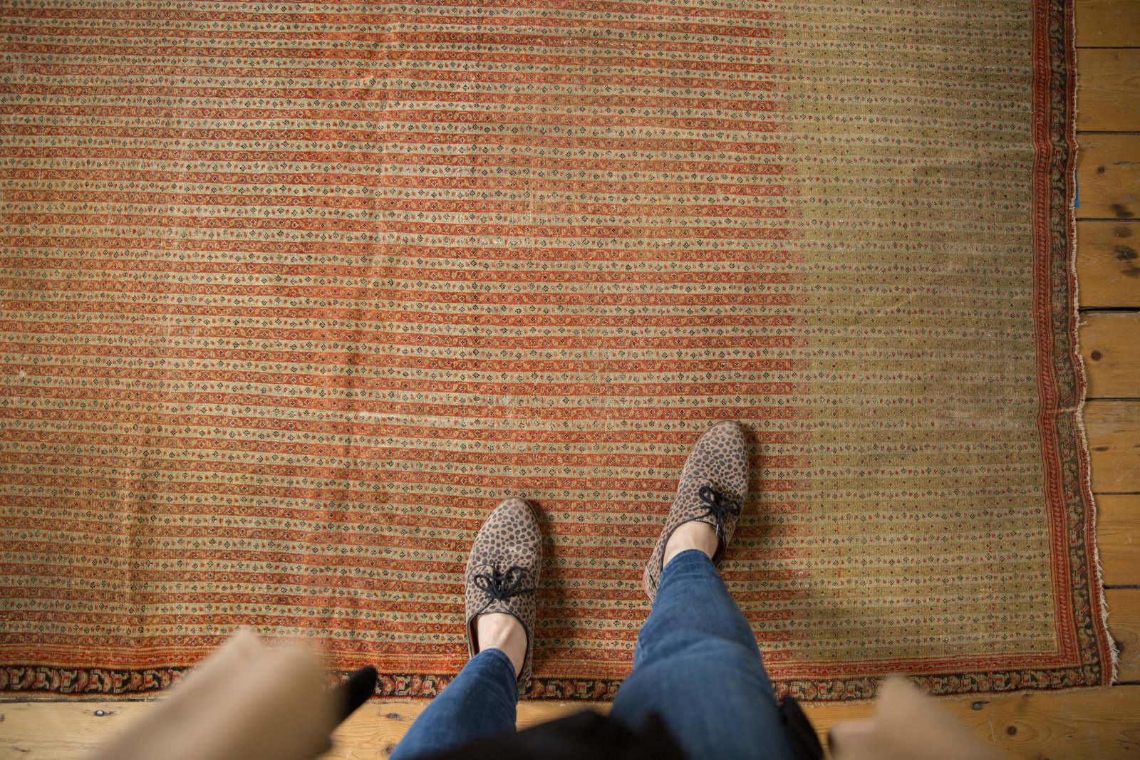 4x6 Antique Fine Senneh Rug by Old New House® - product image 2 for Resin Society