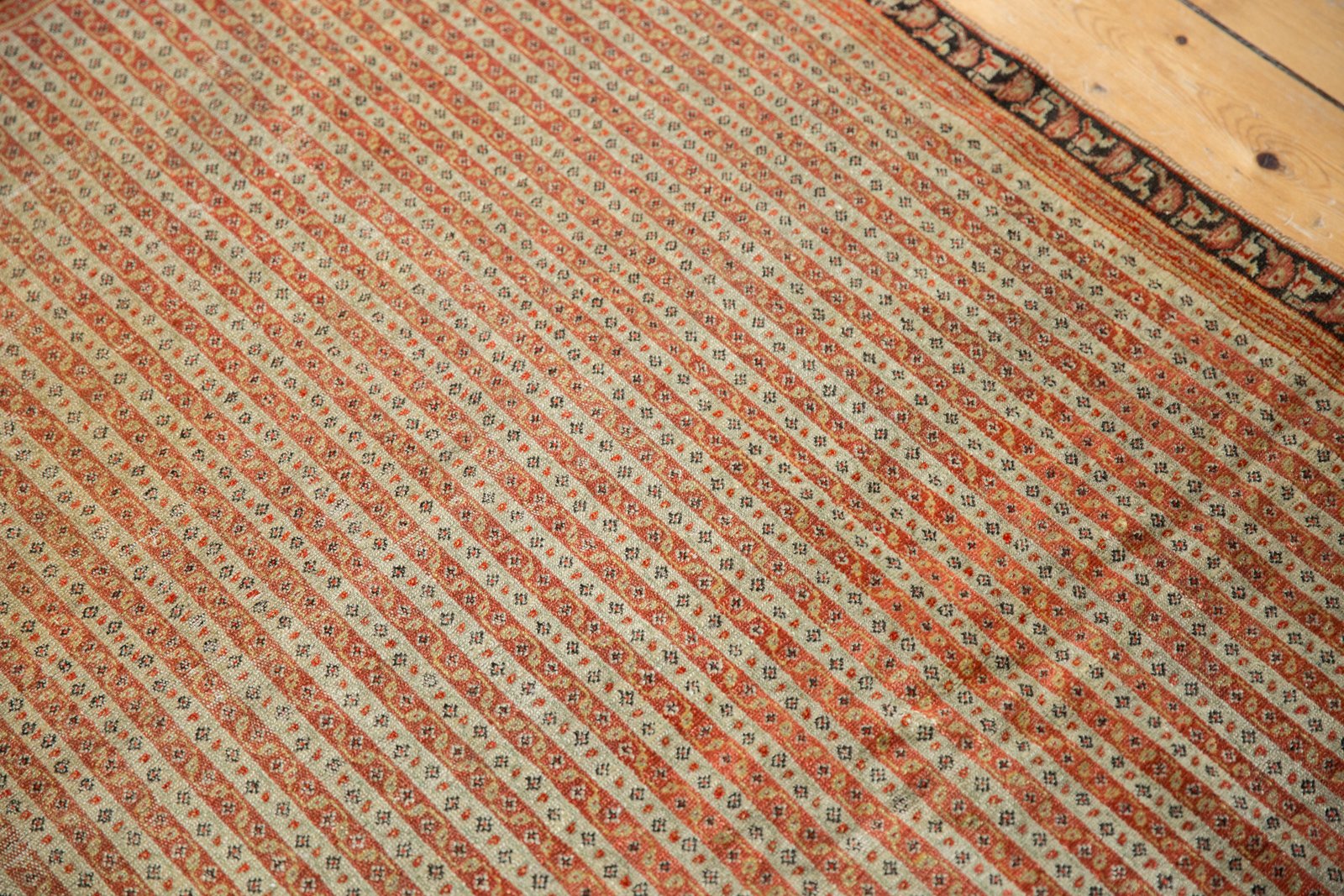 4x6 Antique Fine Senneh Rug by Old New House® - product image 6 for Resin Society