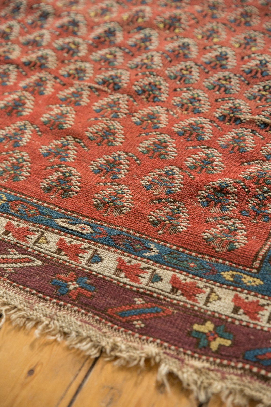 4x8 Antique Caucasian Rug Runner by Old New House® - product image 7 for Resin Society