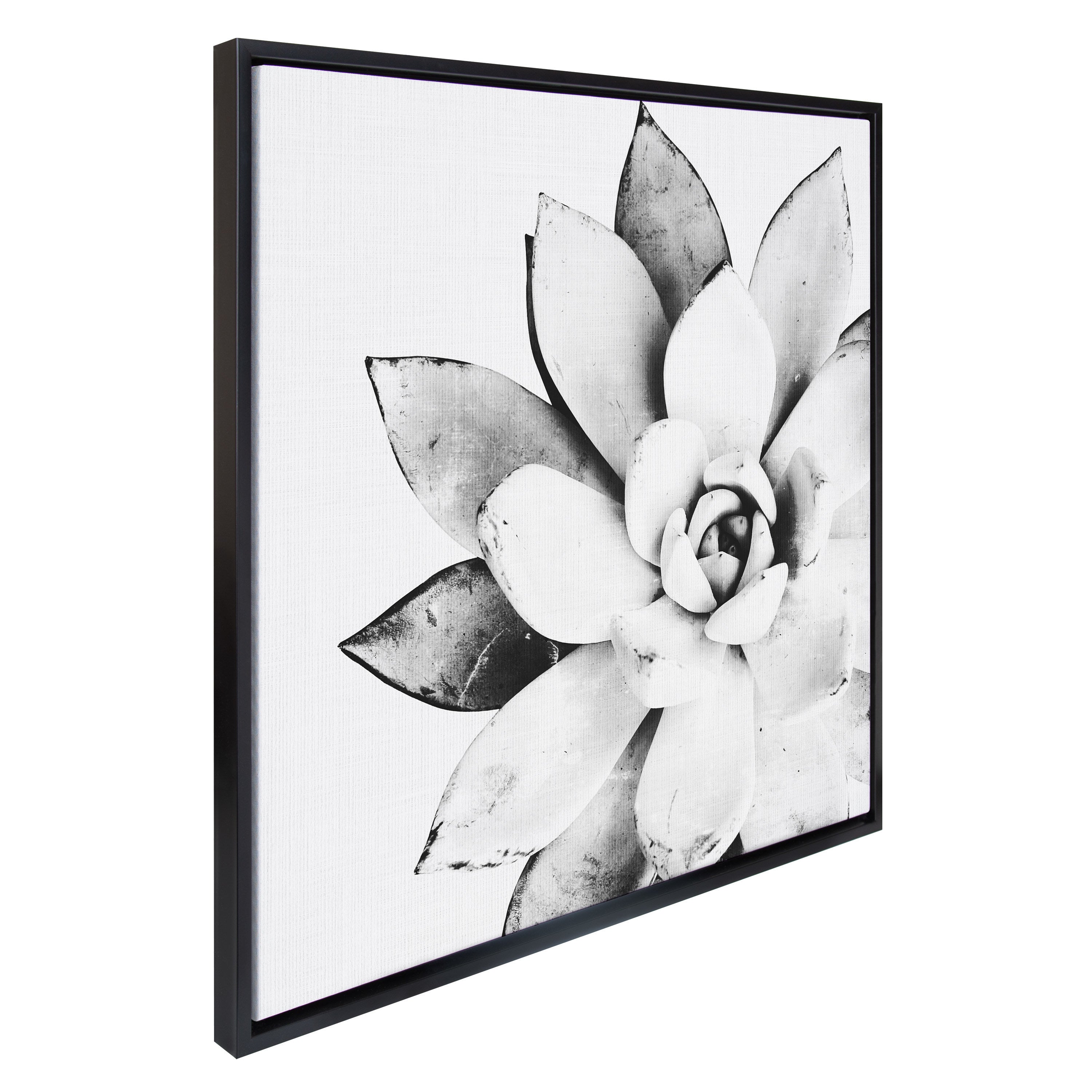 Black and white framed canvas art of a succulent plant by Simon Te