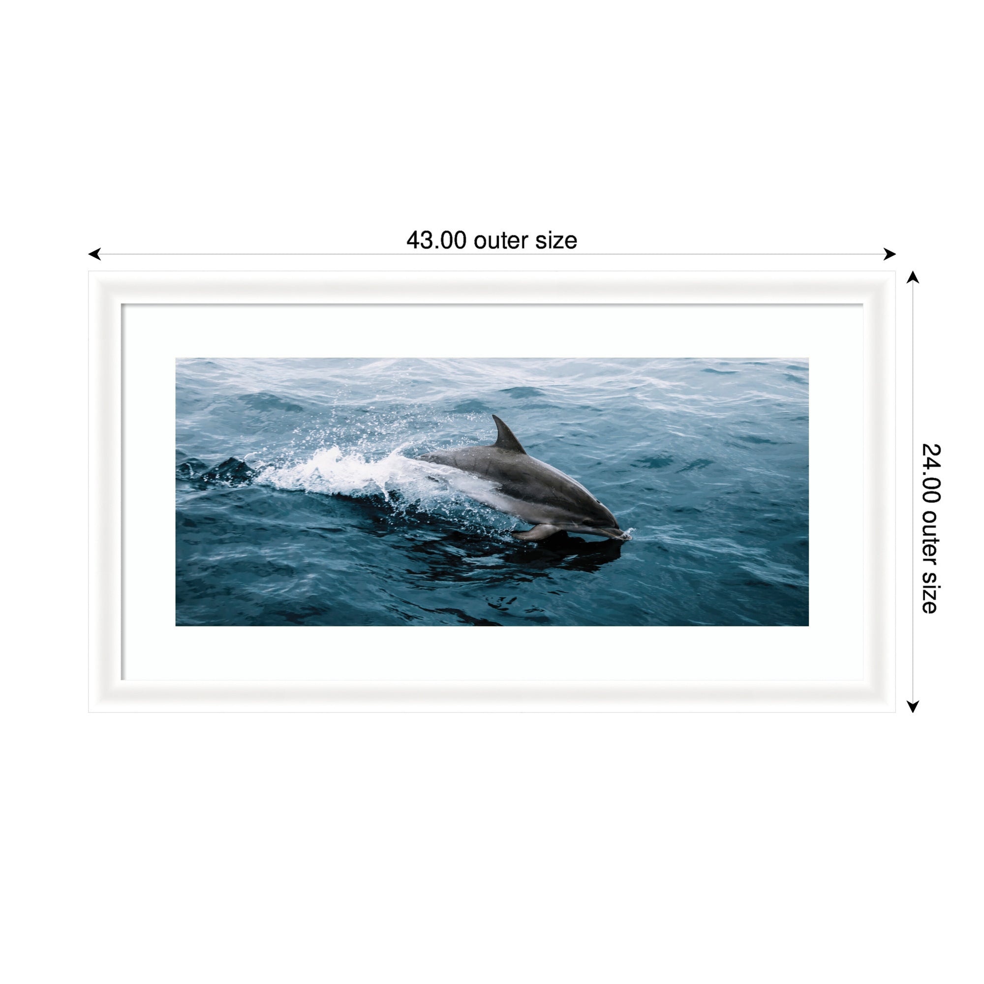 Framed Art Dolphin Skipping along in the Ocean Panel by Michael Schauer