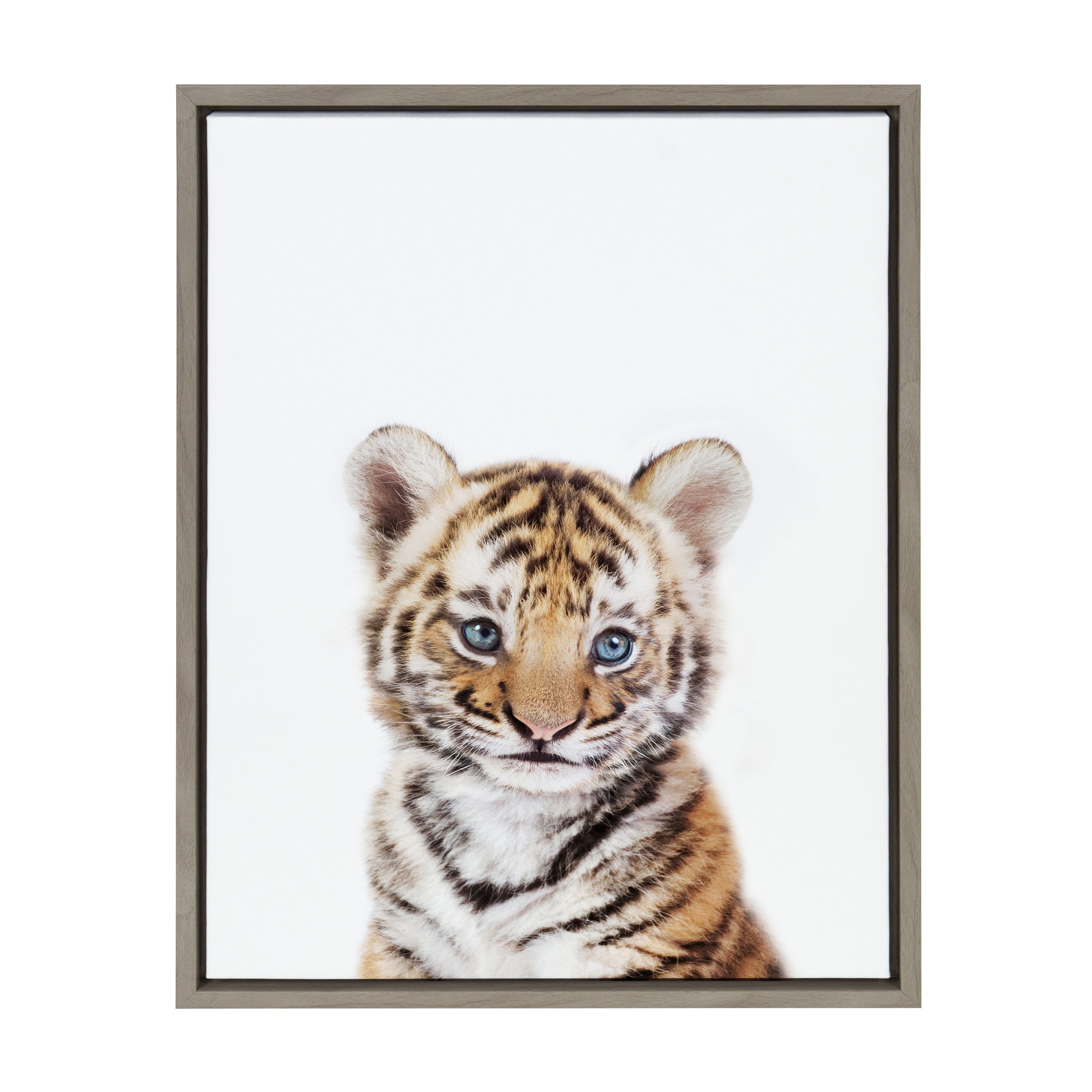 Sylvie Baby Tiger Framed Canvas by Amy Peterson by kateandlaurel - product image 7 for Resin Society