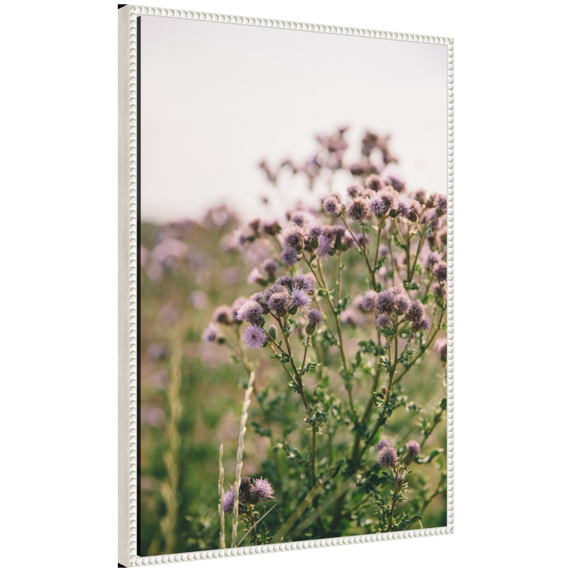 Sylvie Soft Purple Flower Blooms Framed Canvas by Patricia Hasz