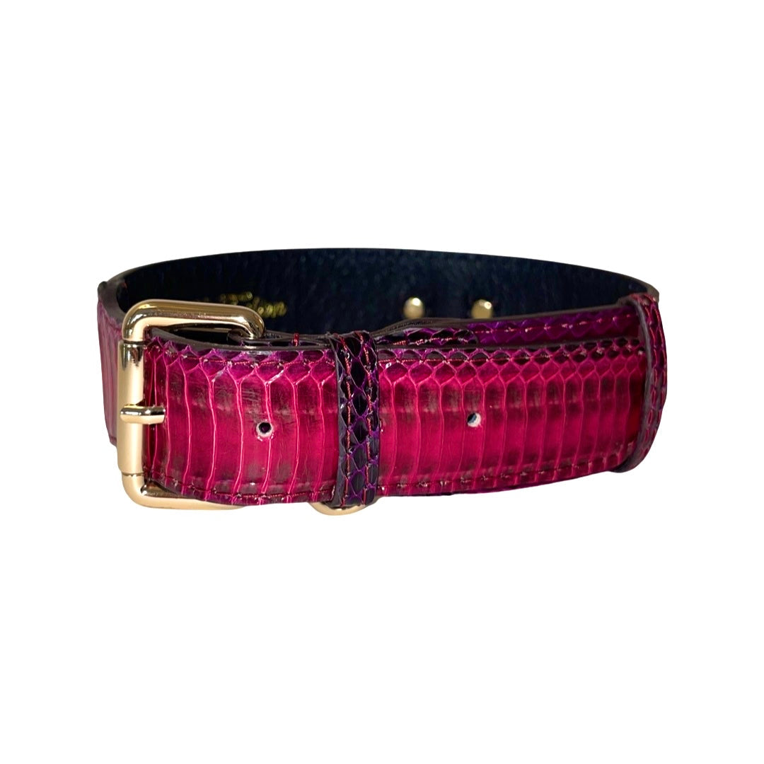 Ruby Red & Purple Snake Classic Collar lying flat, showing vibrant red and purple snake pattern with gold hardware