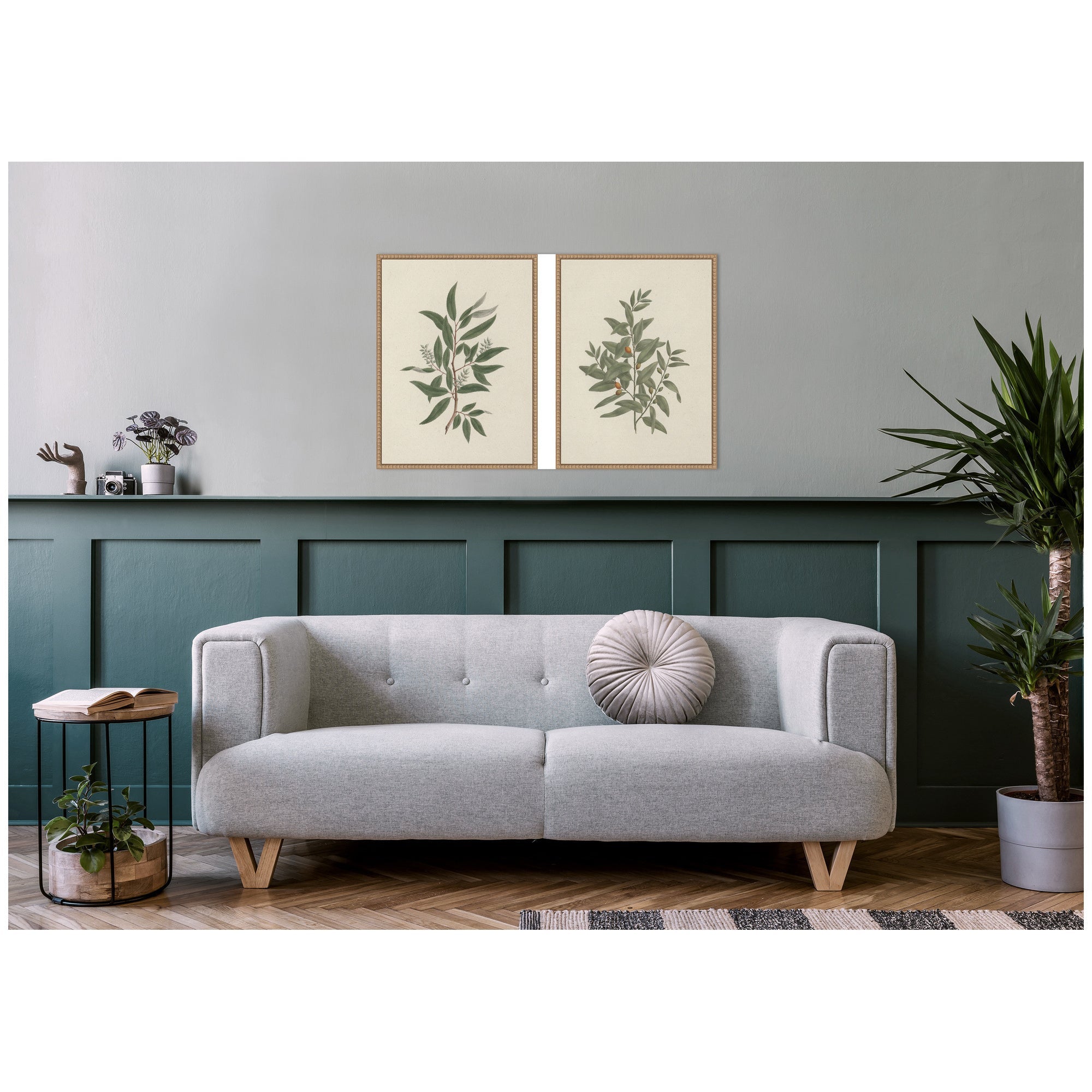 Salix subserrata Willd Willow & Osyris Lanceolate African Sandalwood 2 Piece Framed Canvas Wall Art Set by Nostalgia Prints