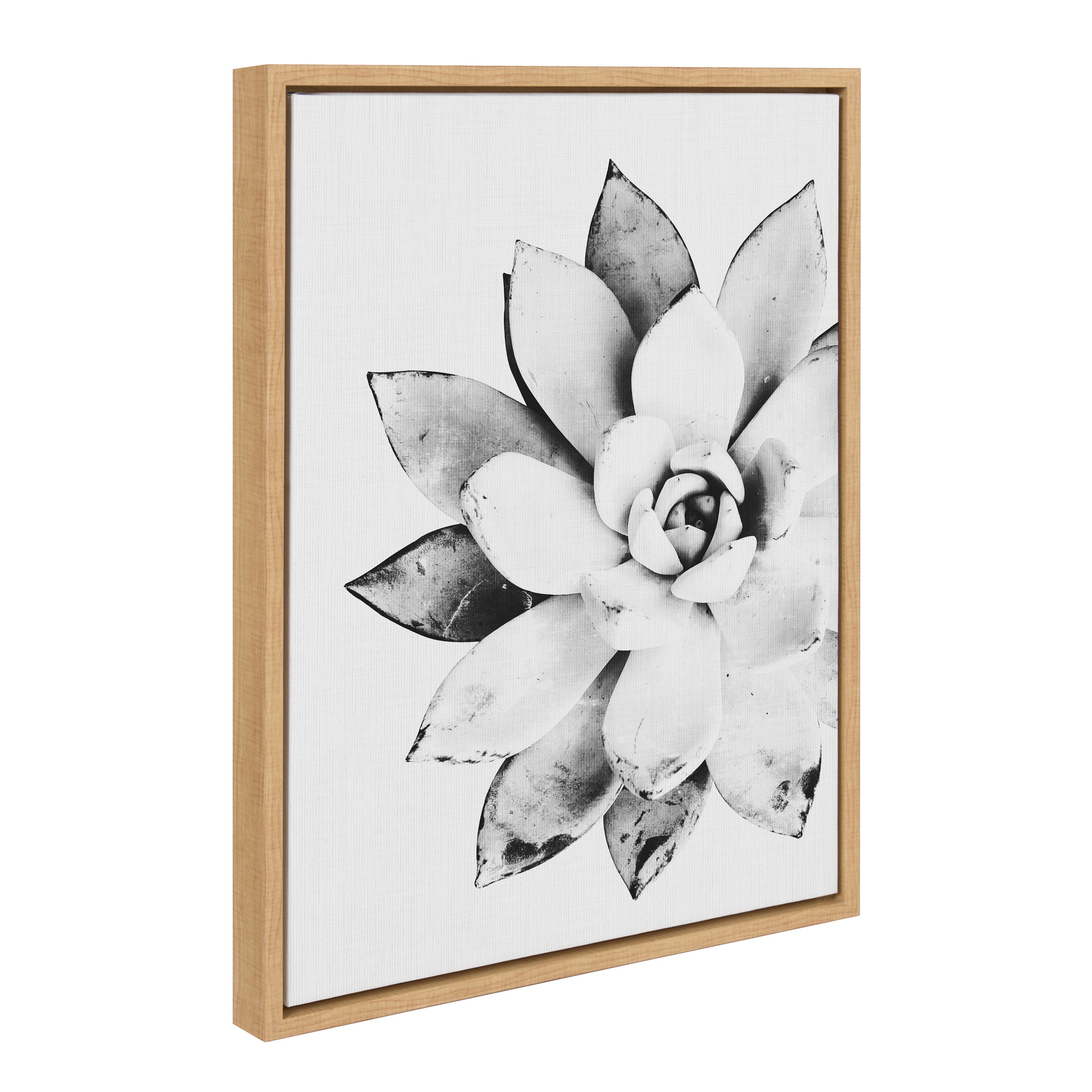 Sylvie Succulent Framed Canvas by Simon Te of Tai Prints
