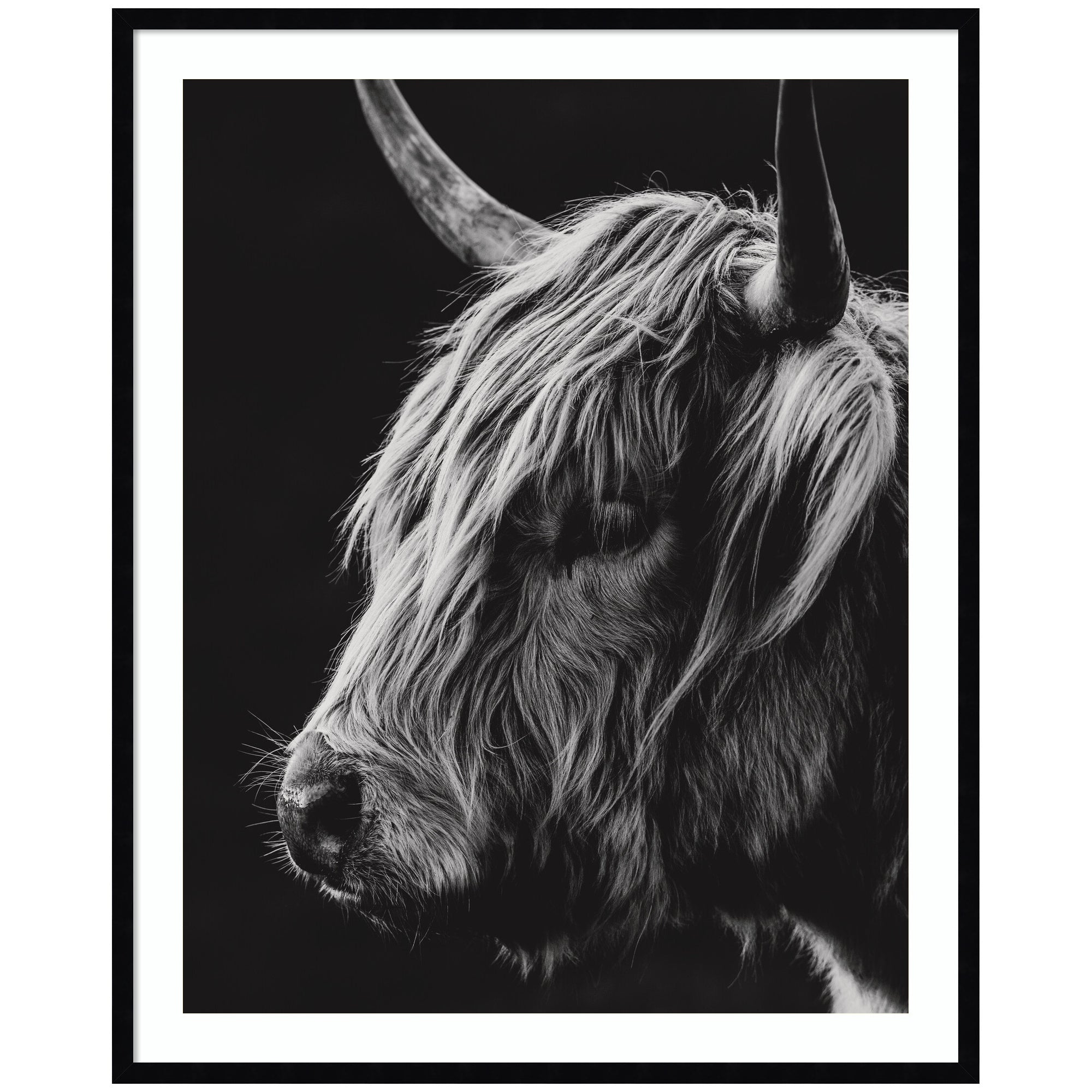 Scottish Highland Vertical by Crystal Lynn Collins Framed Wall Art Print