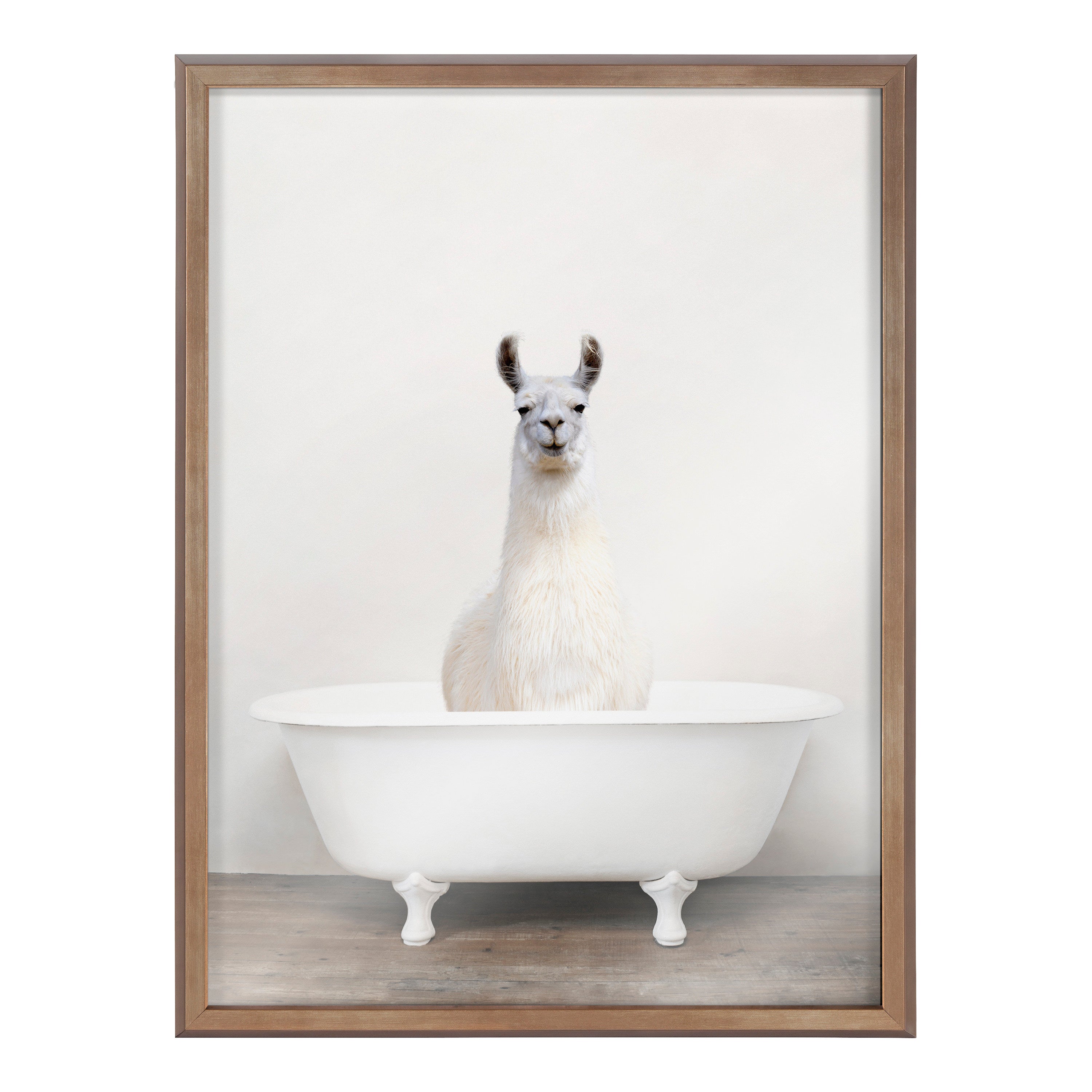 Blake Alpaca in the Tub Color Framed Printed Glass by kateandlaurel - product image 2 for Resin Society