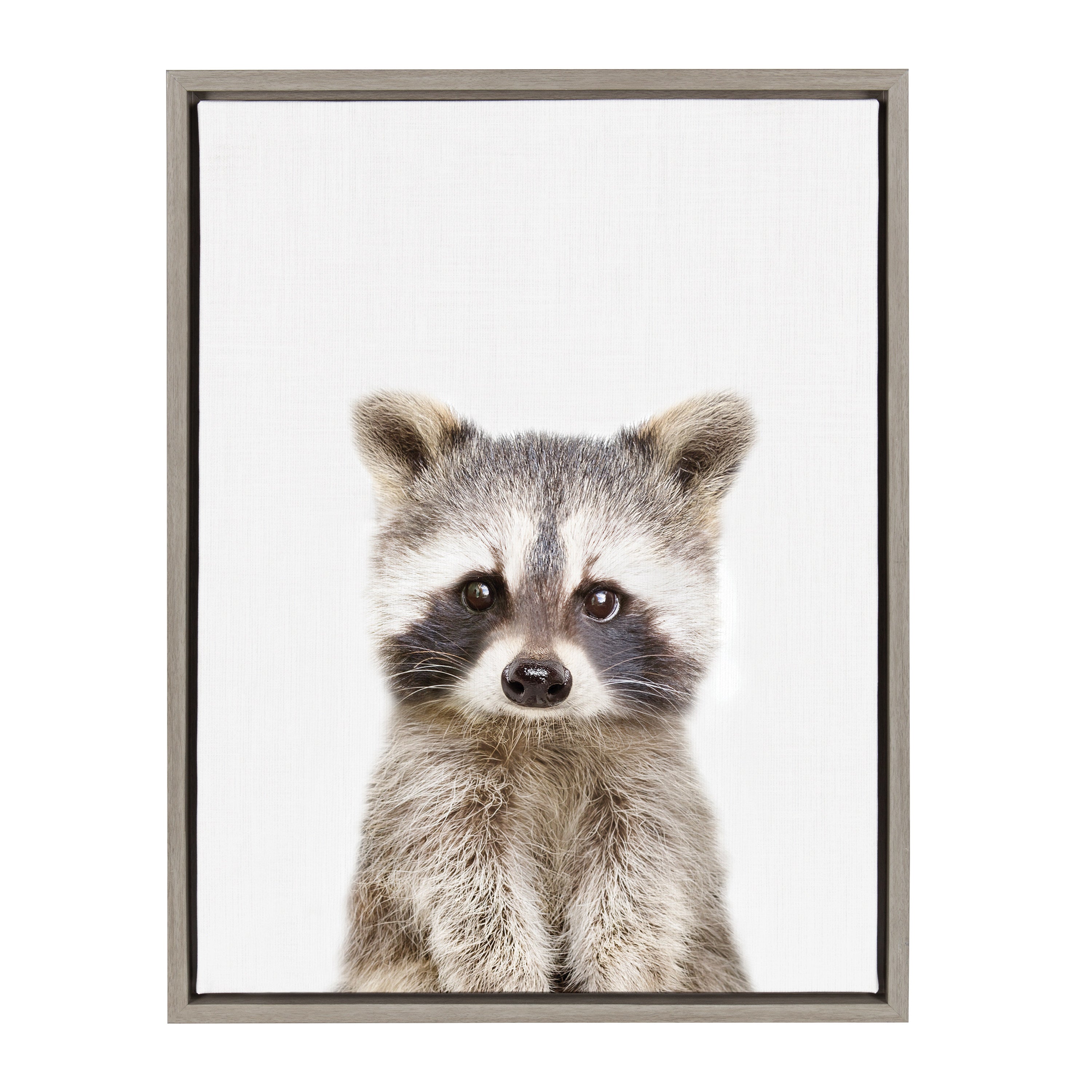 Sylvie Raccoon Framed Canvas by Amy Peterson Art Studio