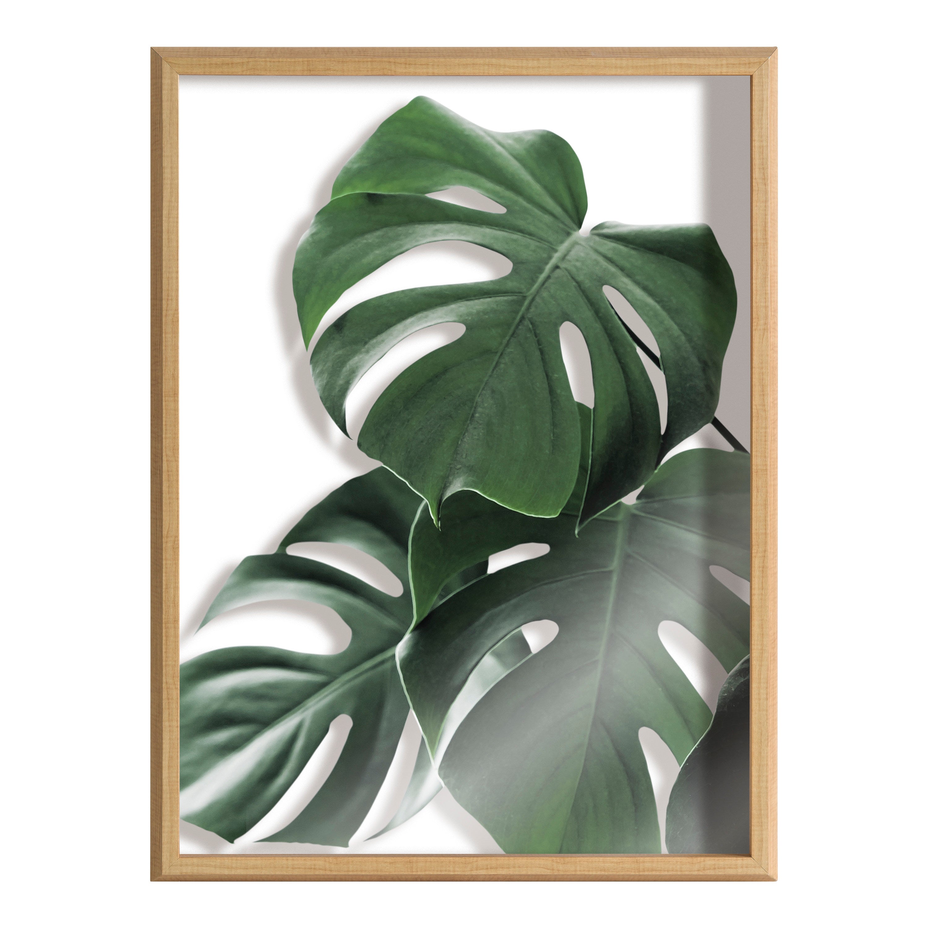Blake Monstera leaves Framed Printed Glass by Amy Peterson Art Studio by kateandlaurel - product image 2 for Resin Society