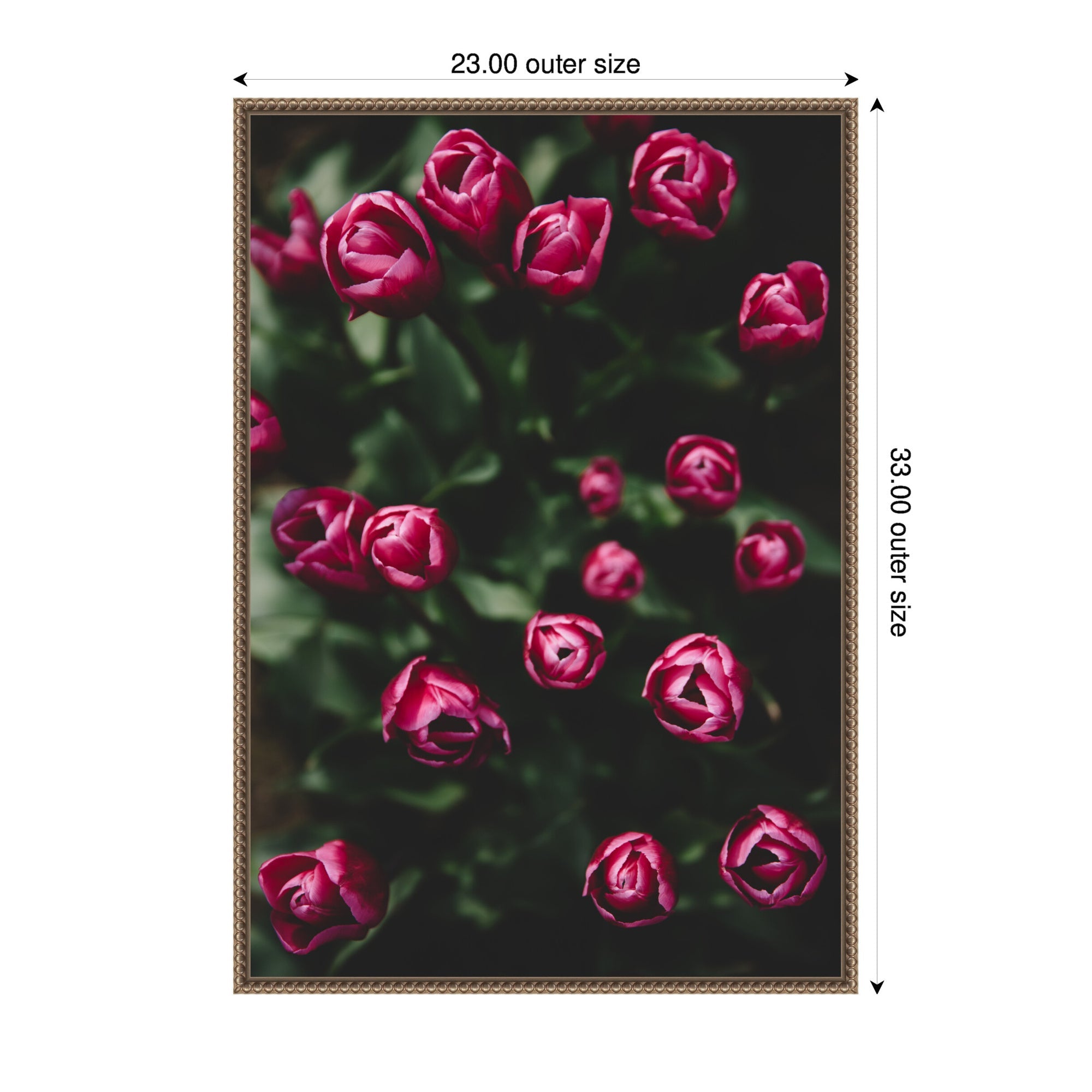 Sylvie Moody Dark Pink Tulips in Bloom Framed Canvas by Patricia Hasz