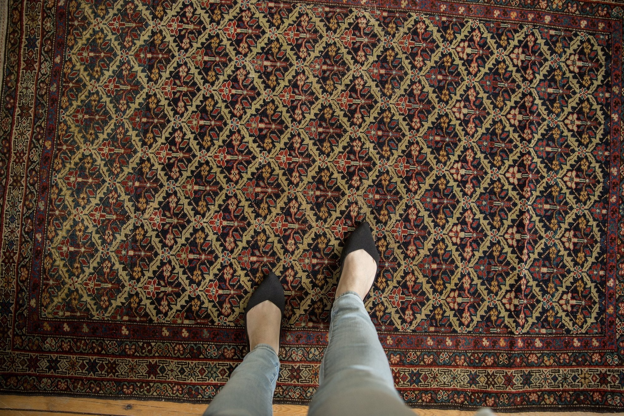 4x6 Antique Fine Malayer Rug by Old New House® - product image 2 for Resin Society