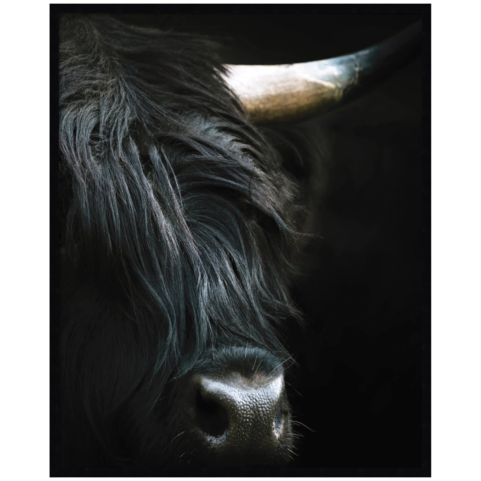 Minimalist Black Highland Cow Close by Michael Schauer Framed Wall Art Print
