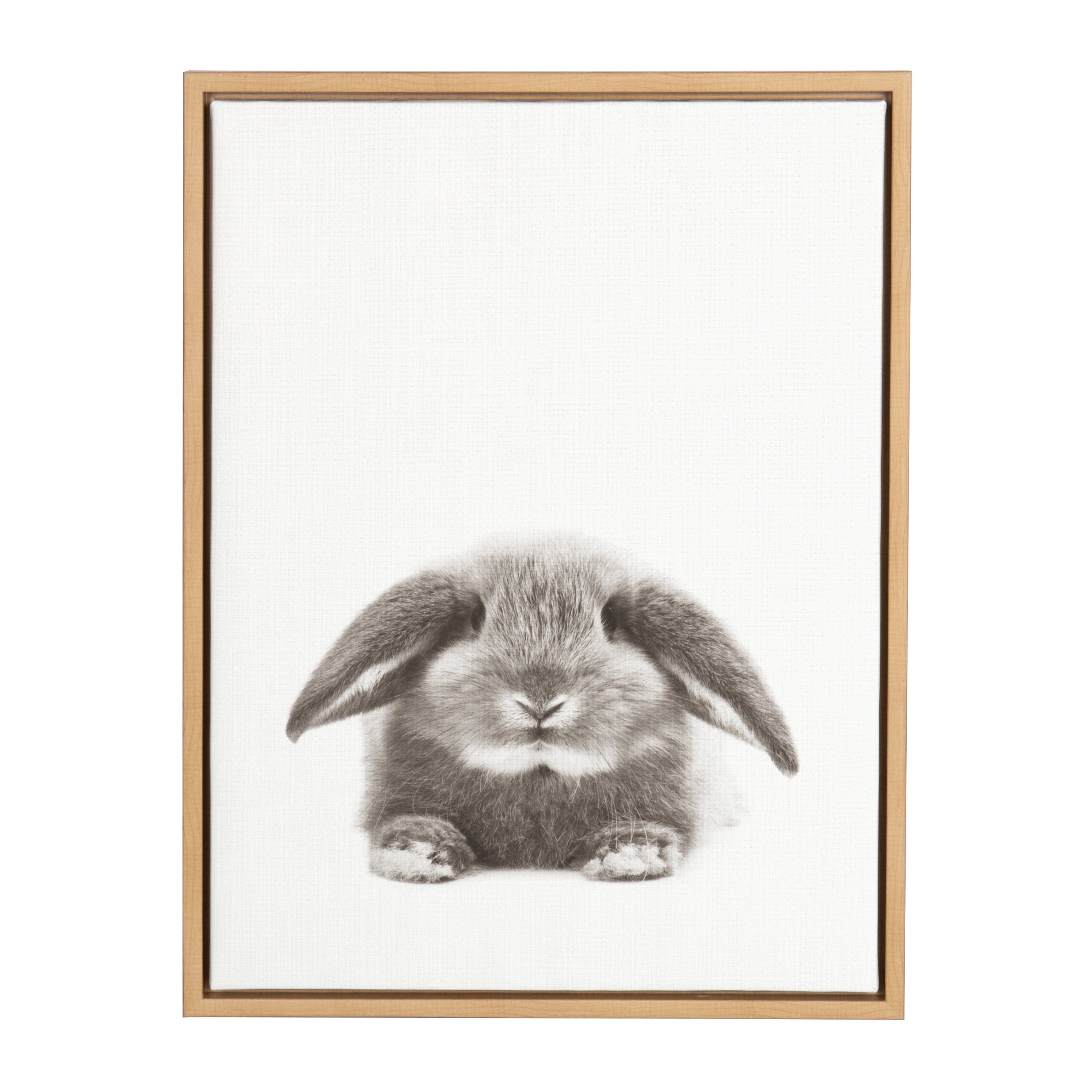 Sylvie Rabbit Framed Canvas by Simon Te of Tai Prints