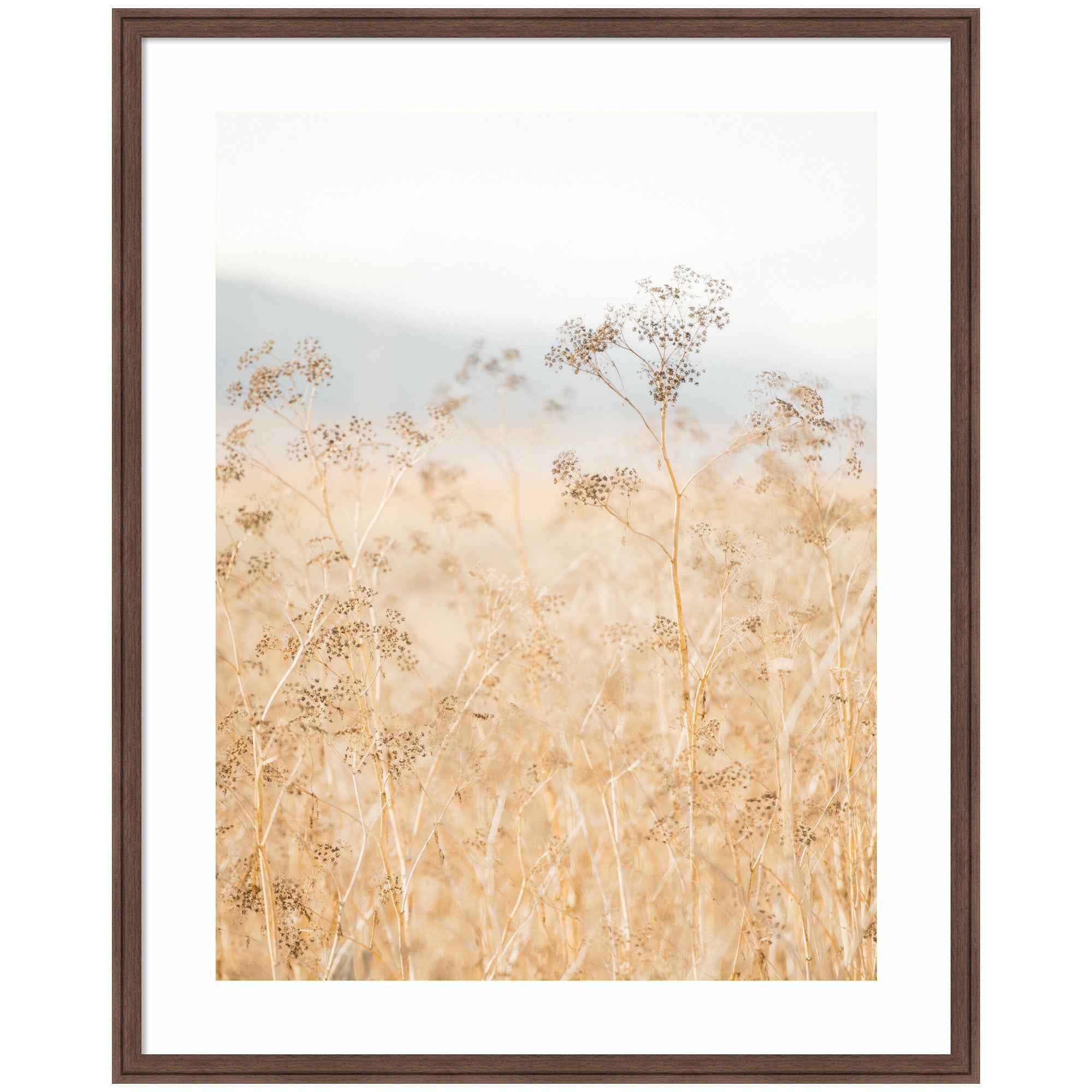 Framed Art Wild Fennel by Crystal Lynn Collins