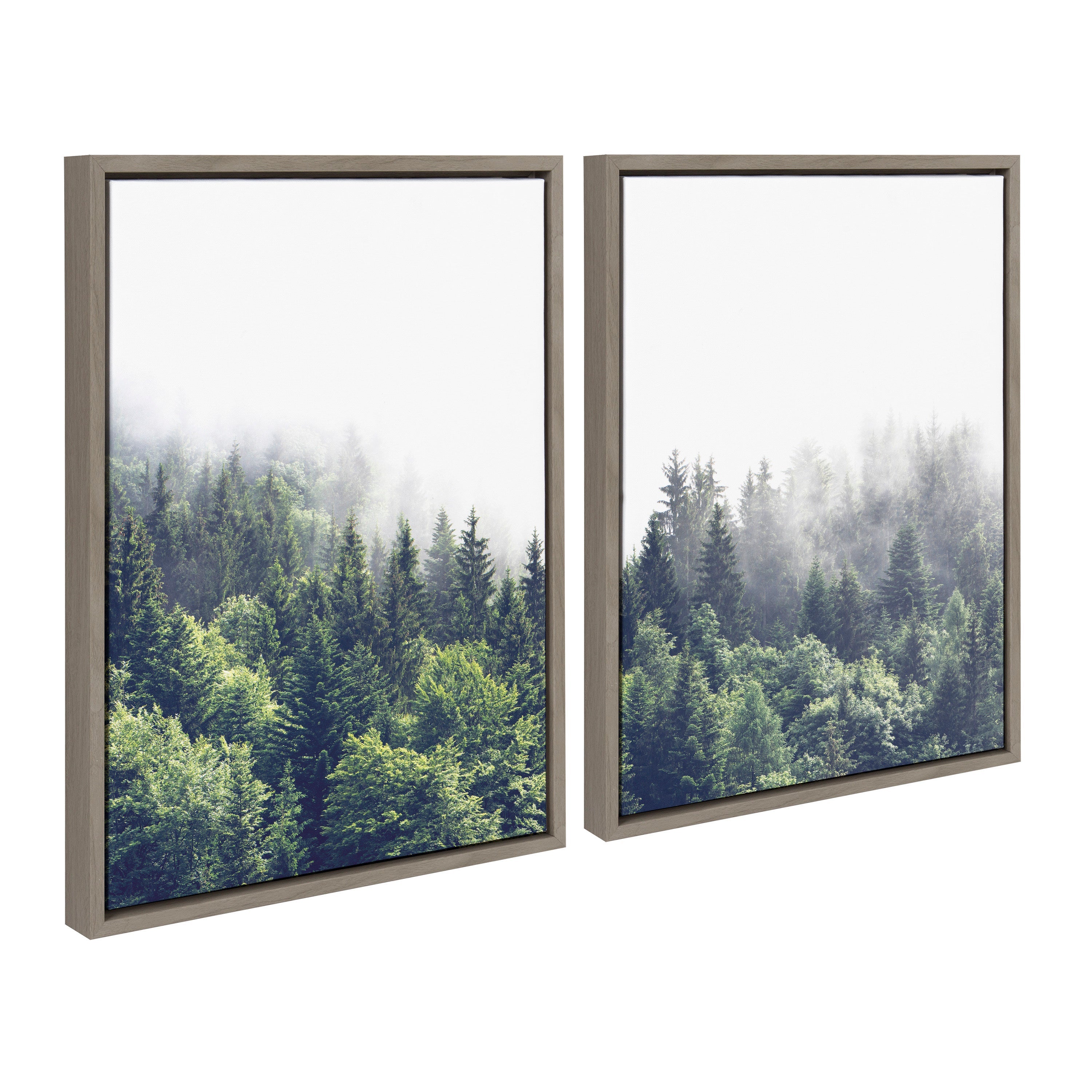 Sylvie Lush Green Forest on a Foggy Day Framed Canvas Set by The