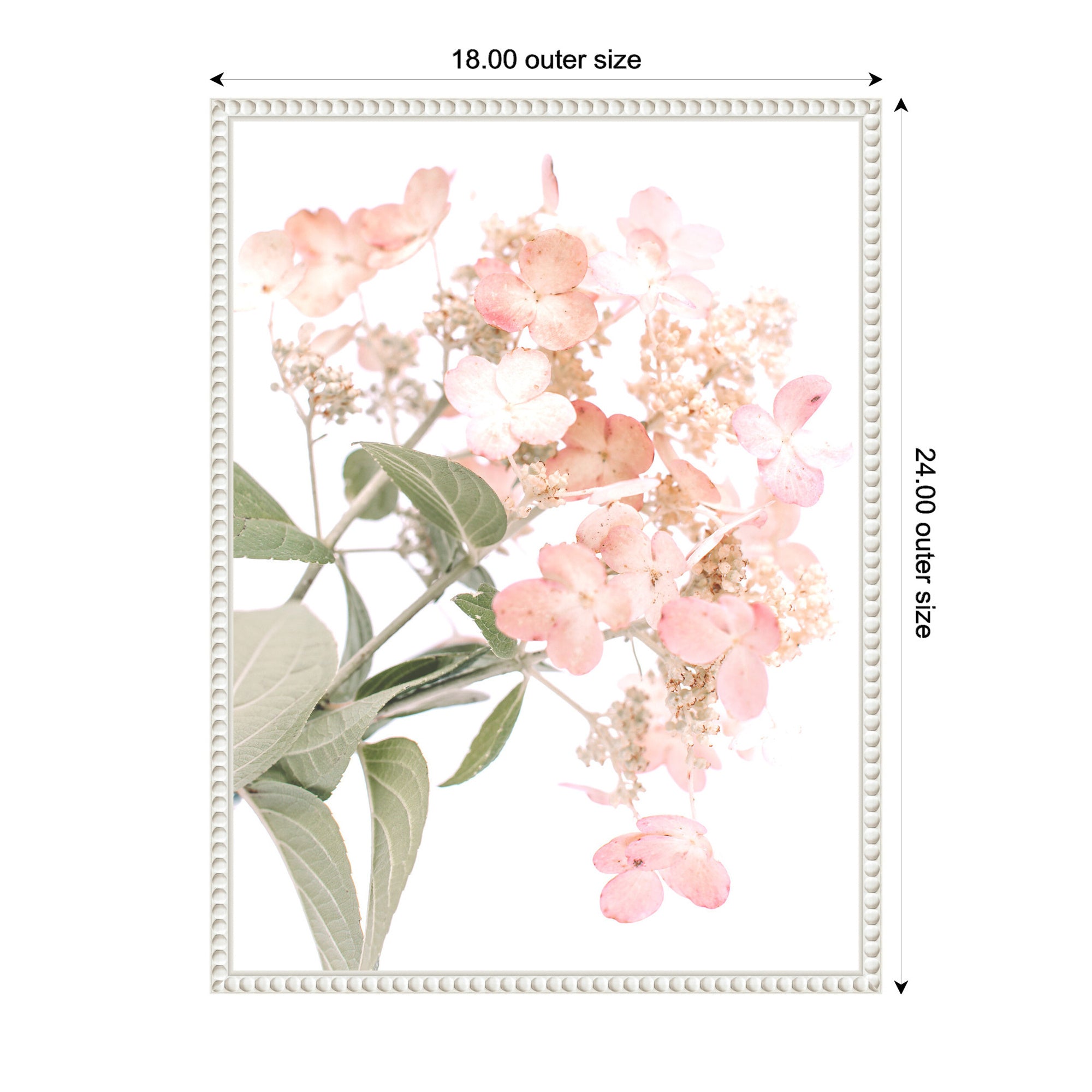 Sylvie Hydrangea Framed Canvas by Alicia Abla