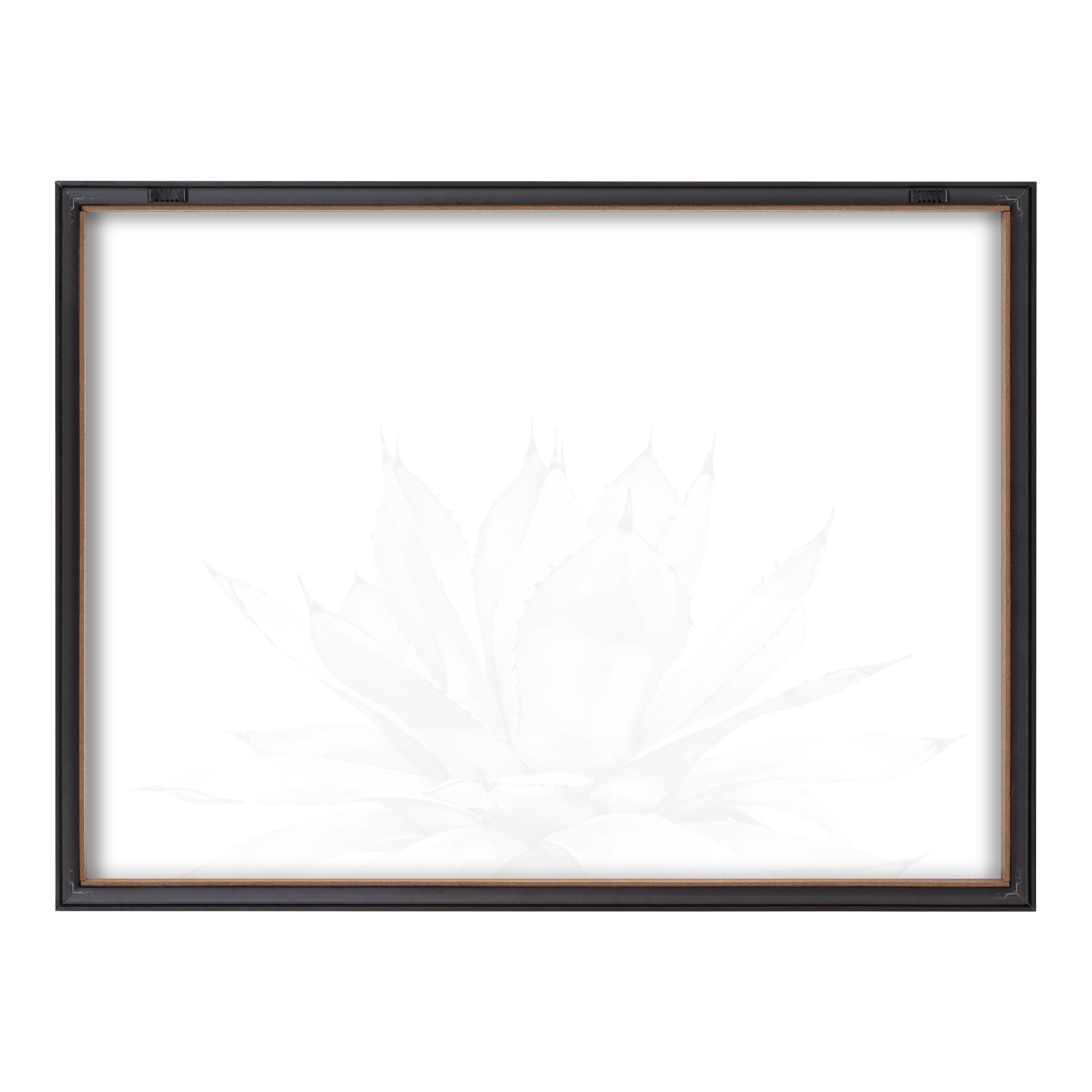Blake Parrys Agave Framed Printed Glass by kateandlaurel - product image 10 for Resin Society