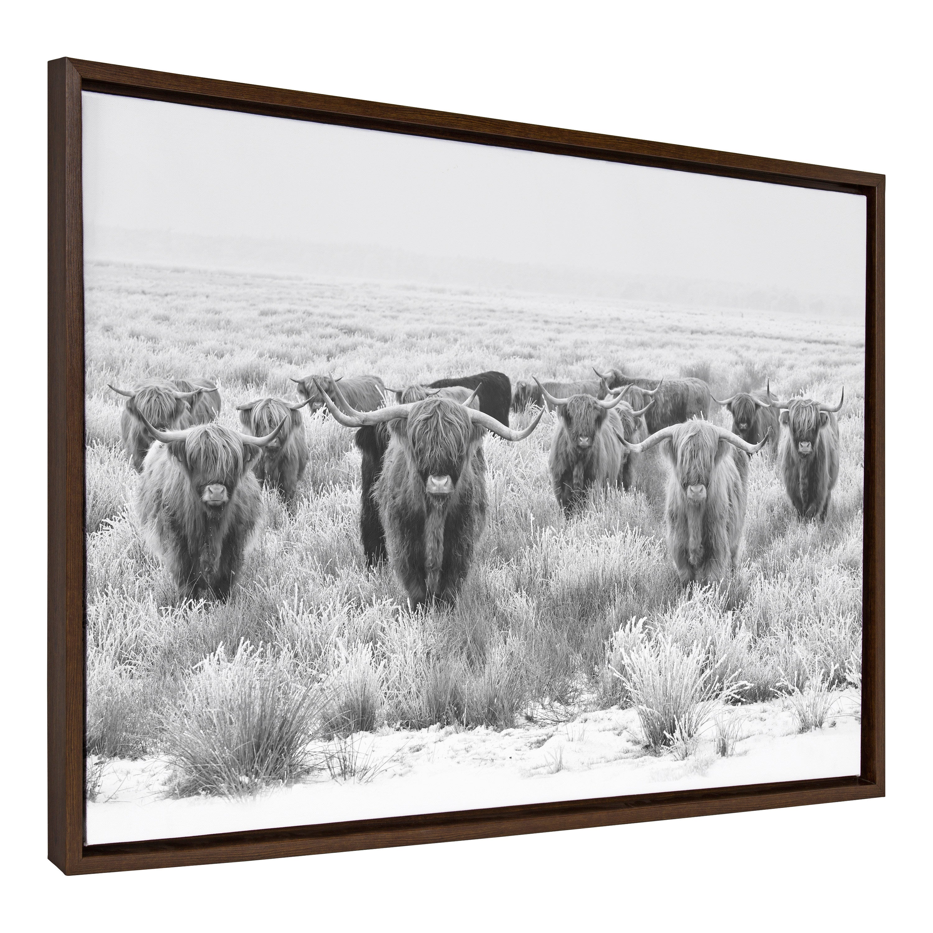 Sylvie Herd of Highland Cows Black and White Framed Canvas by The