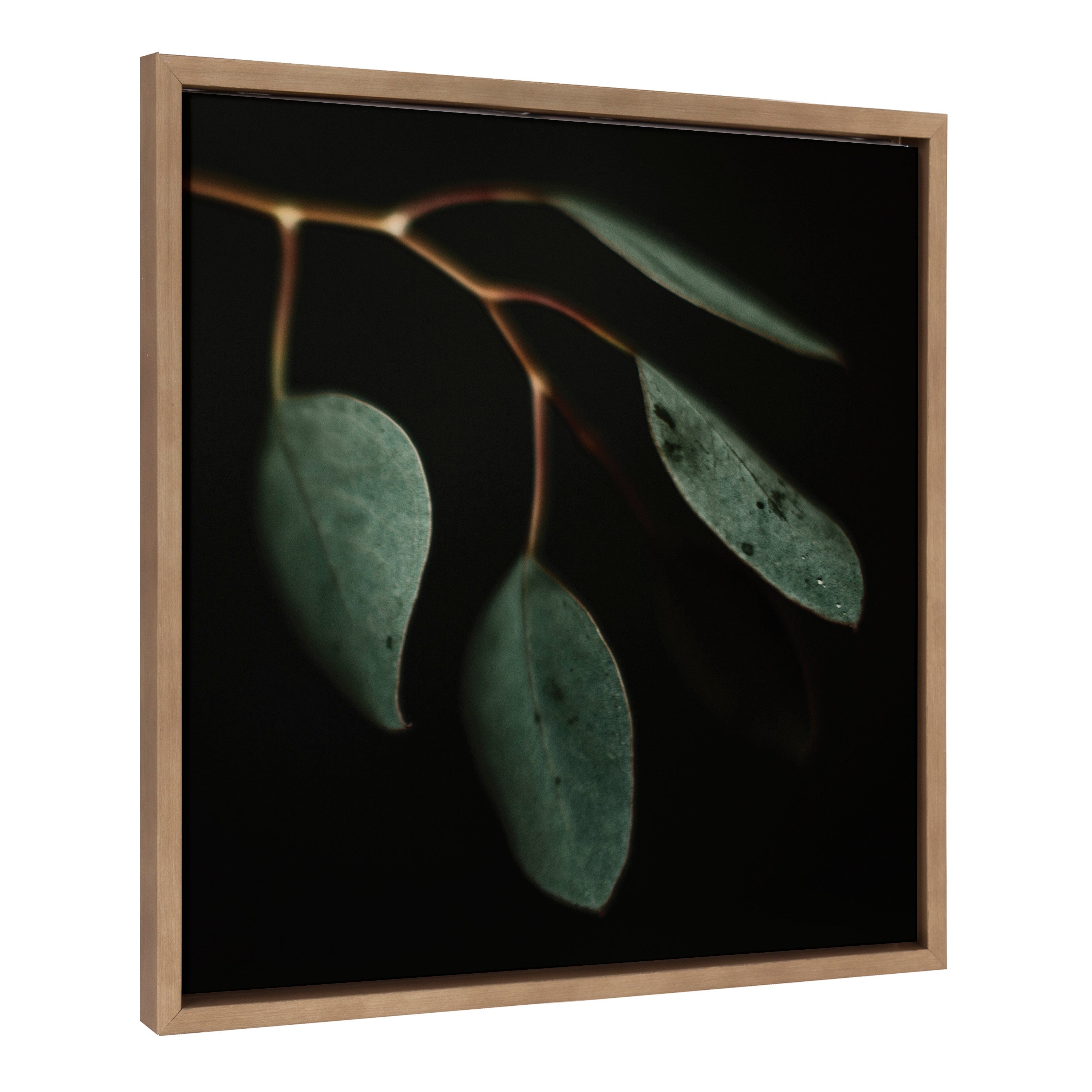 Sylvie Eucalyptus Leaves Framed Canvas by Alicia Abla by kateandlaurel - product image 2 for Resin Society