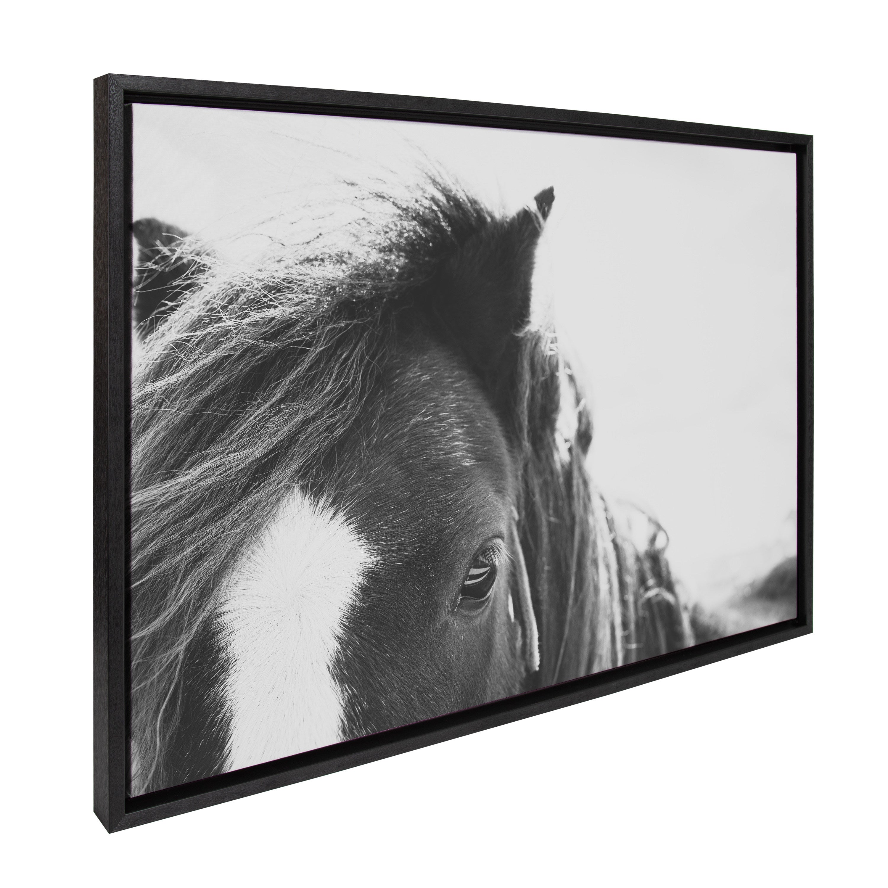 Sylvie Noble BW Framed Canvas by kateandlaurel - product image 16 for Resin Society