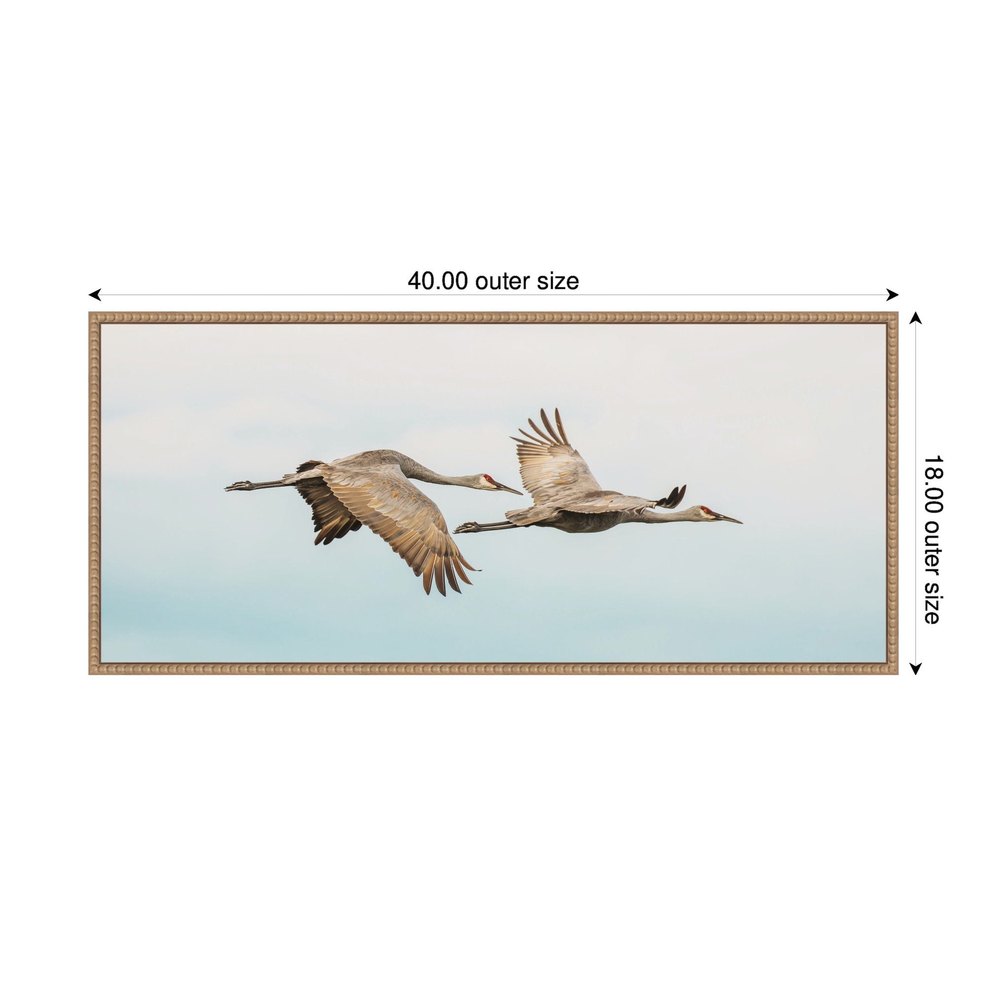 Cranes Flying Panel by Emiko and Mark Franzen F2 Images Framed Canvas Wall Art Print