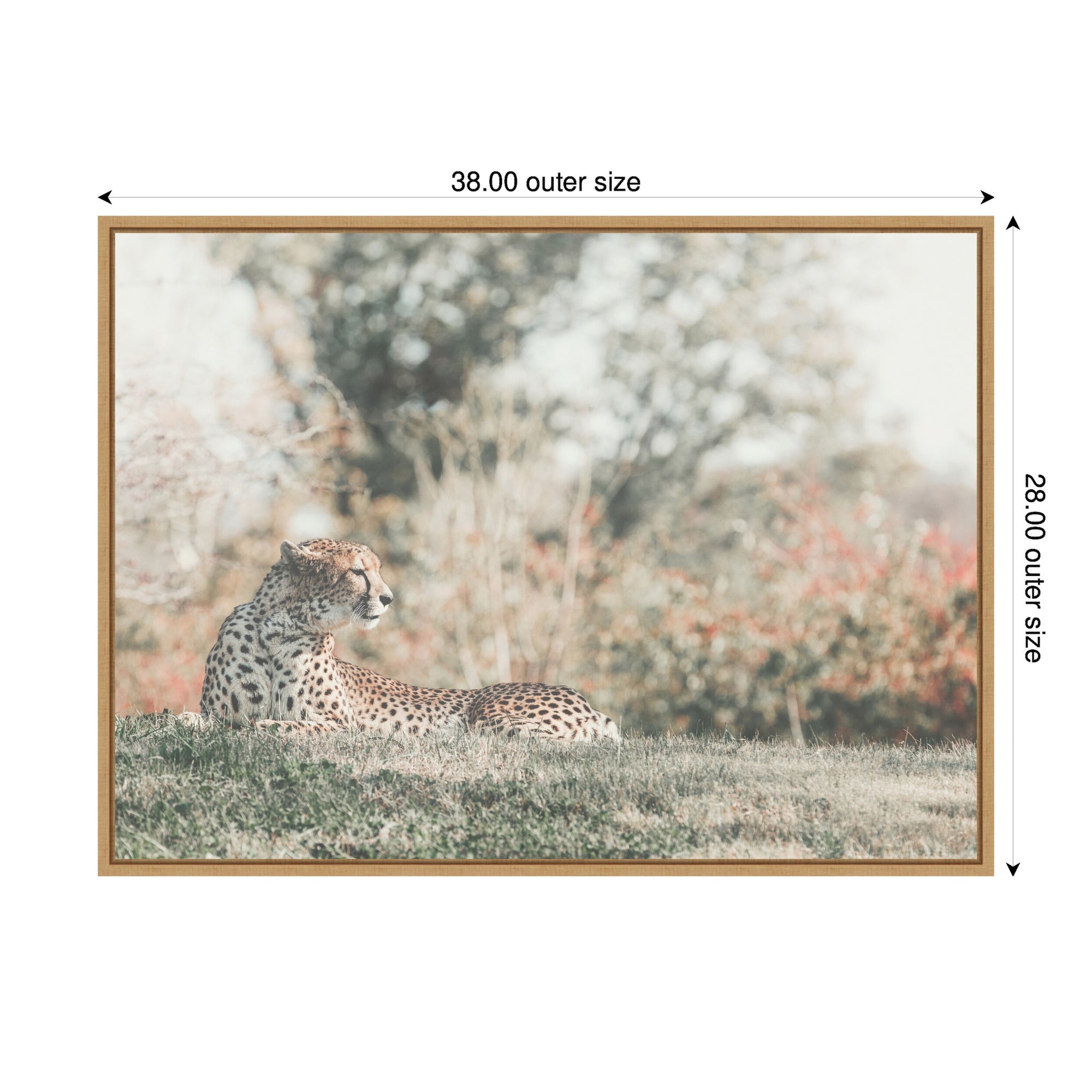 Sylvie Cheetah Glance Framed Canvas by Alicia Abla