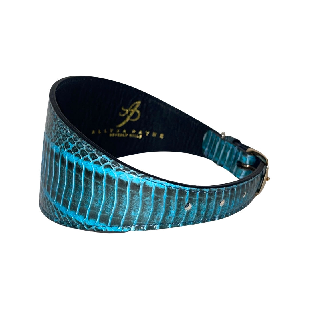 Turquoise & Black 3” Wide Style Collar by Allysa Payne Beverly Hills