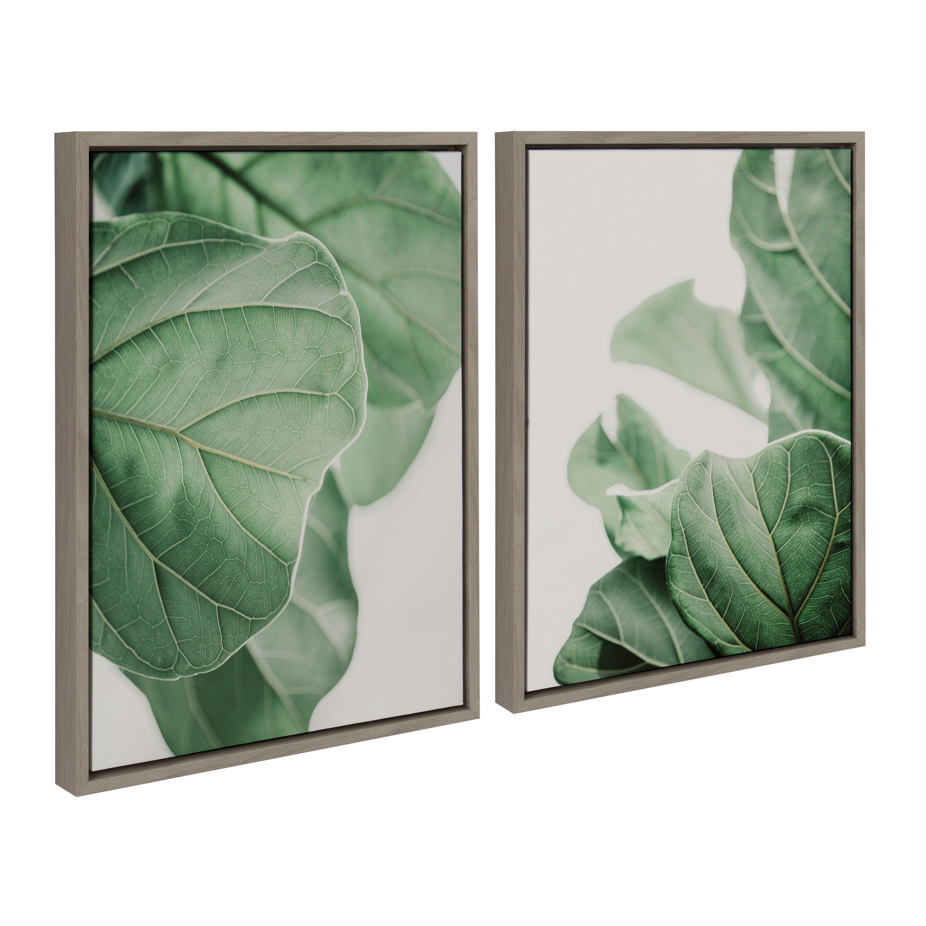 Sylvie Plant Study 6 and Plant Study 7 Framed Canvas Set by Alicia Abla by kateandlaurel - product image 14 for Resin Society