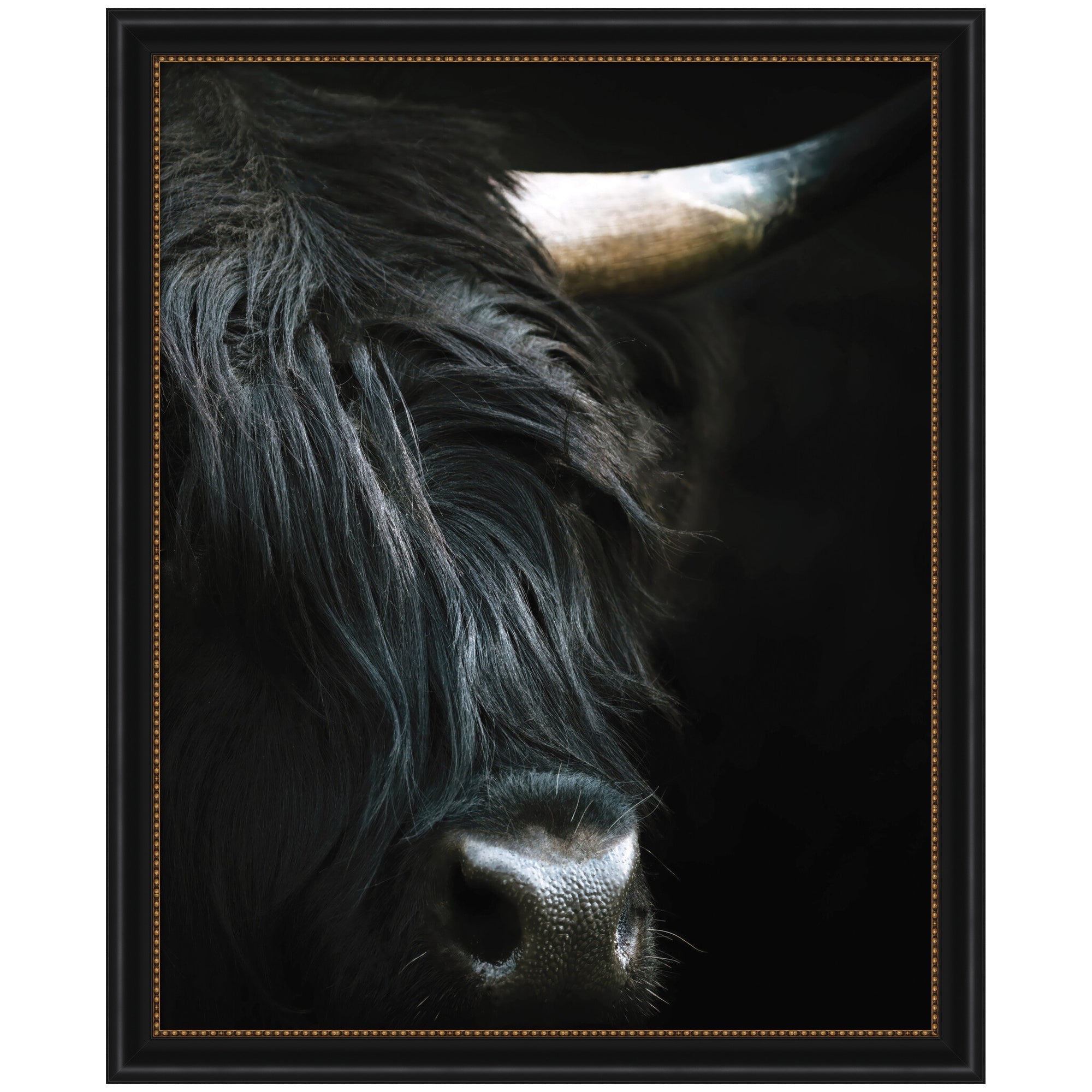 Minimalist Black Highland Cow Close by Michael Schauer Framed Wall Art Print