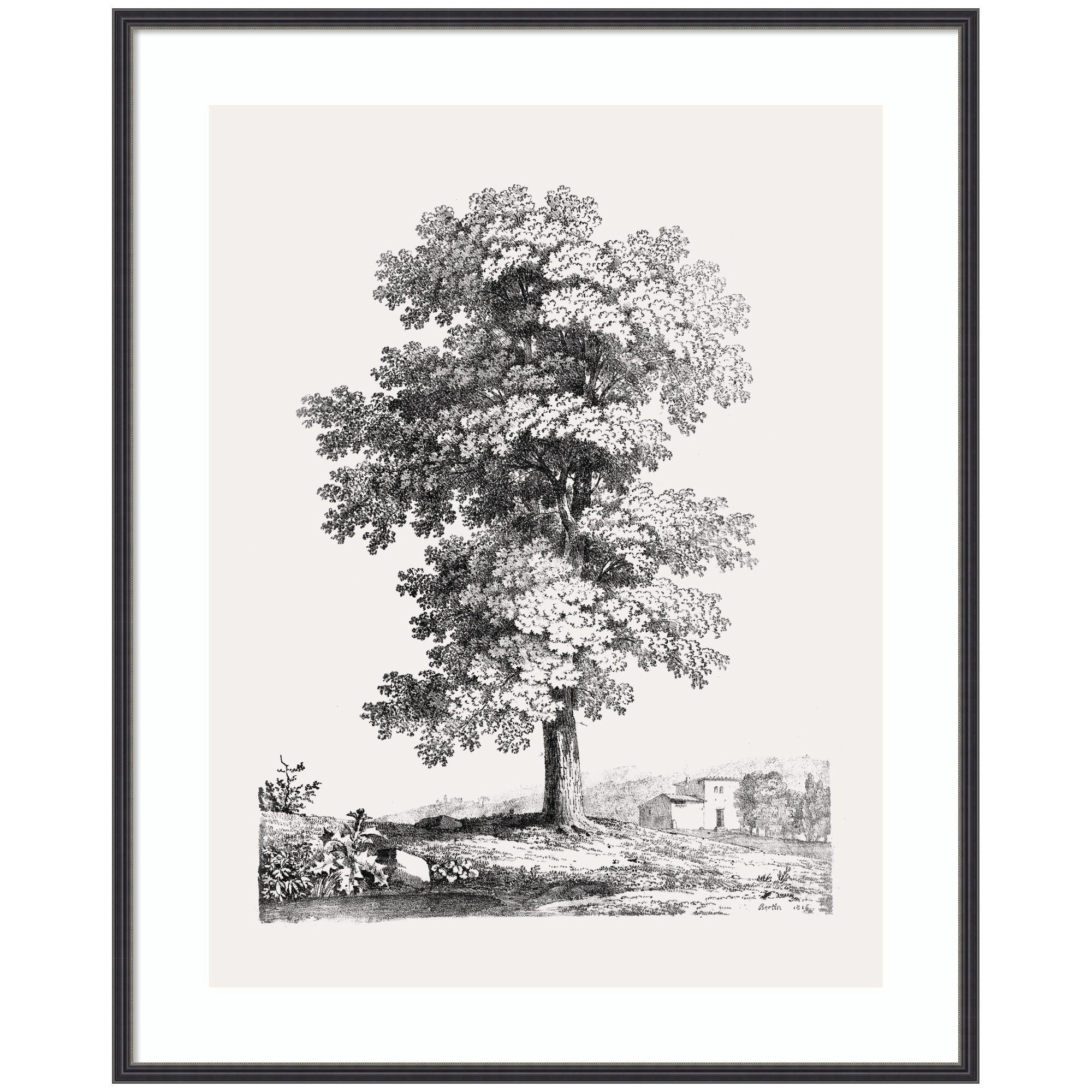 Framed Art Jean Victor Bertin Study of a Tree 1816