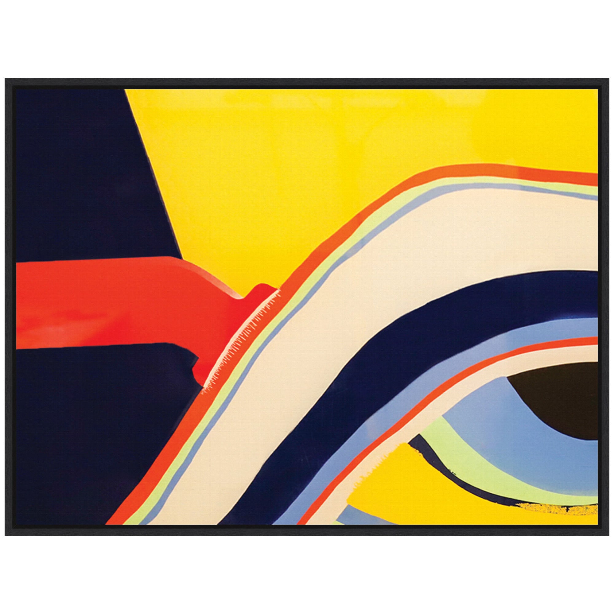 Sylvie Retro Bright Abstract True Color 1 Framed Canvas by Grant Mahr