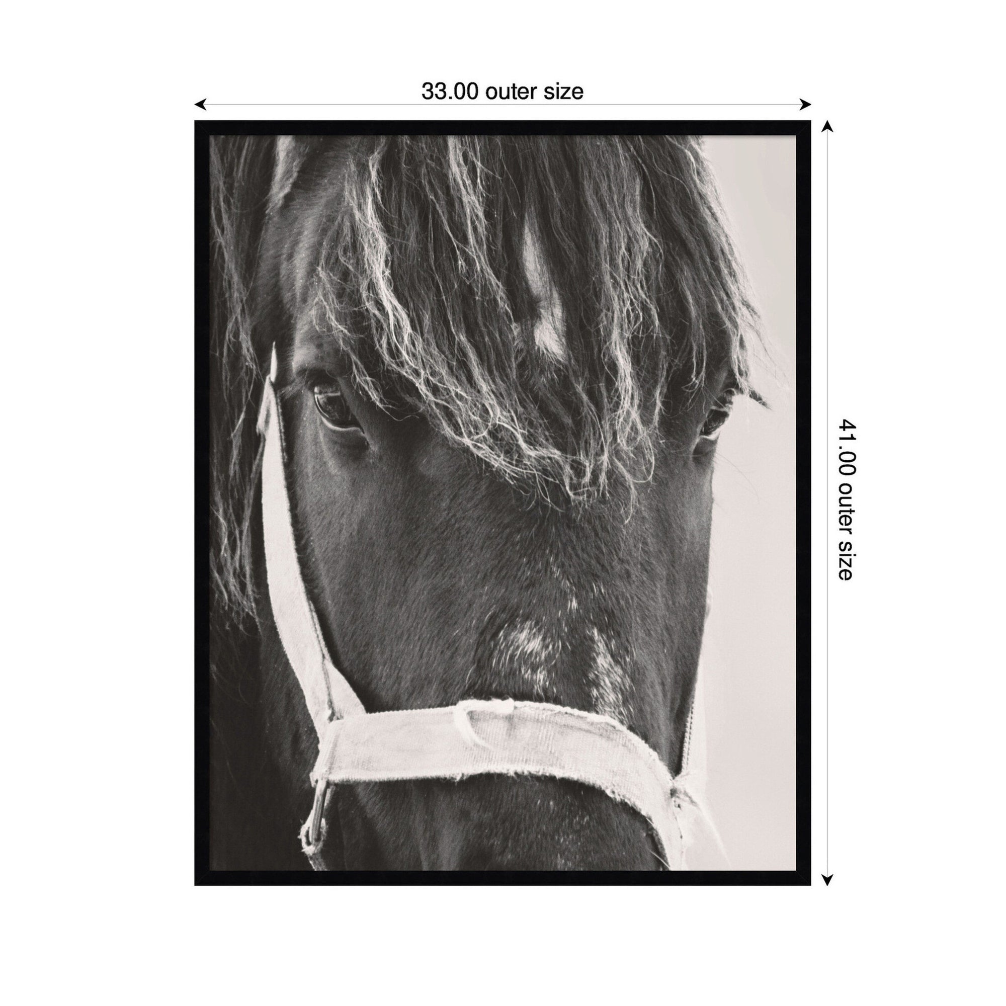 Black Horse by Emiko and Mark Franzen F2 Images Framed Wall Art Print