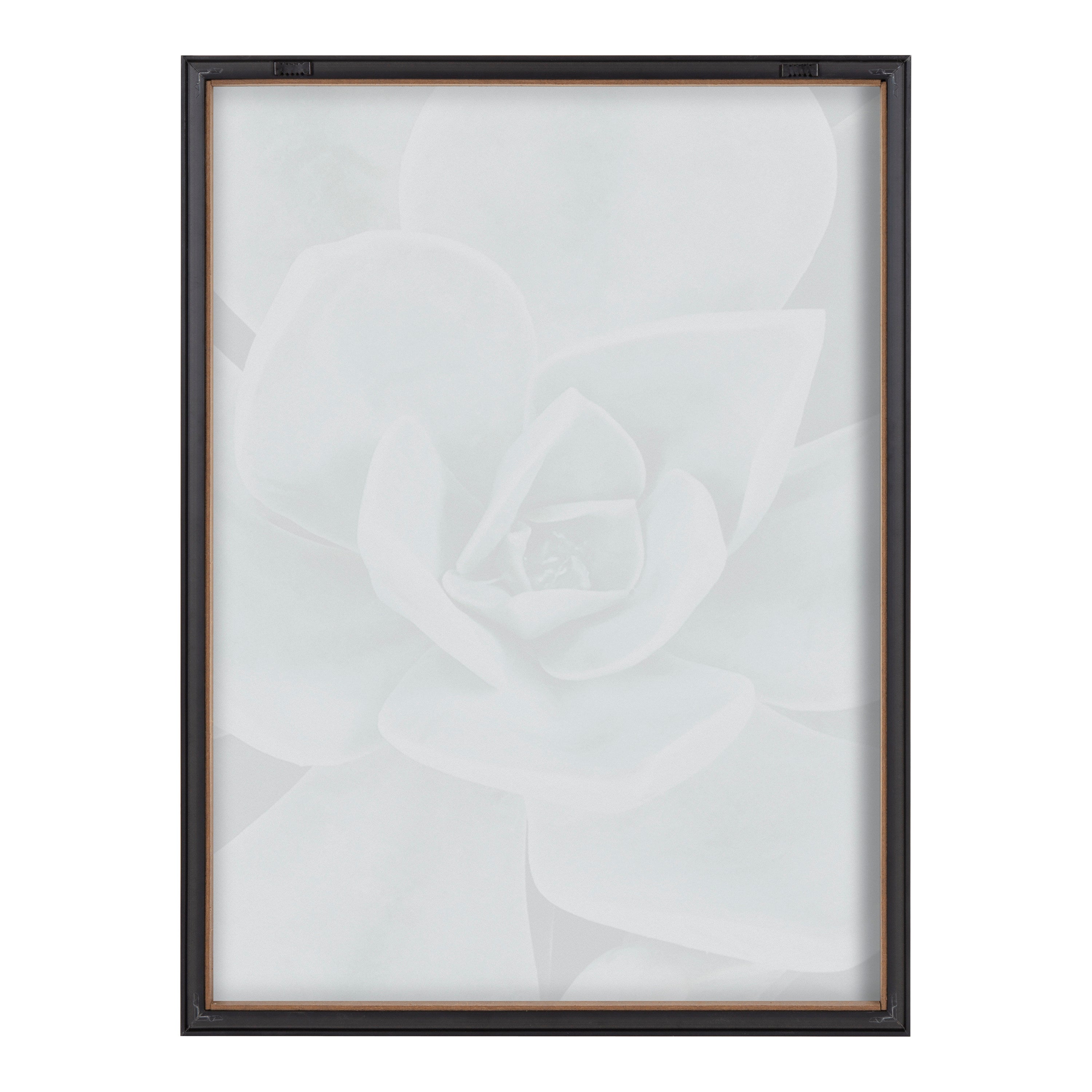 Blake Botanical Succulent Plants 3 Framed Printed Glass by The Creative by kateandlaurel - product image 4 for Resin Society