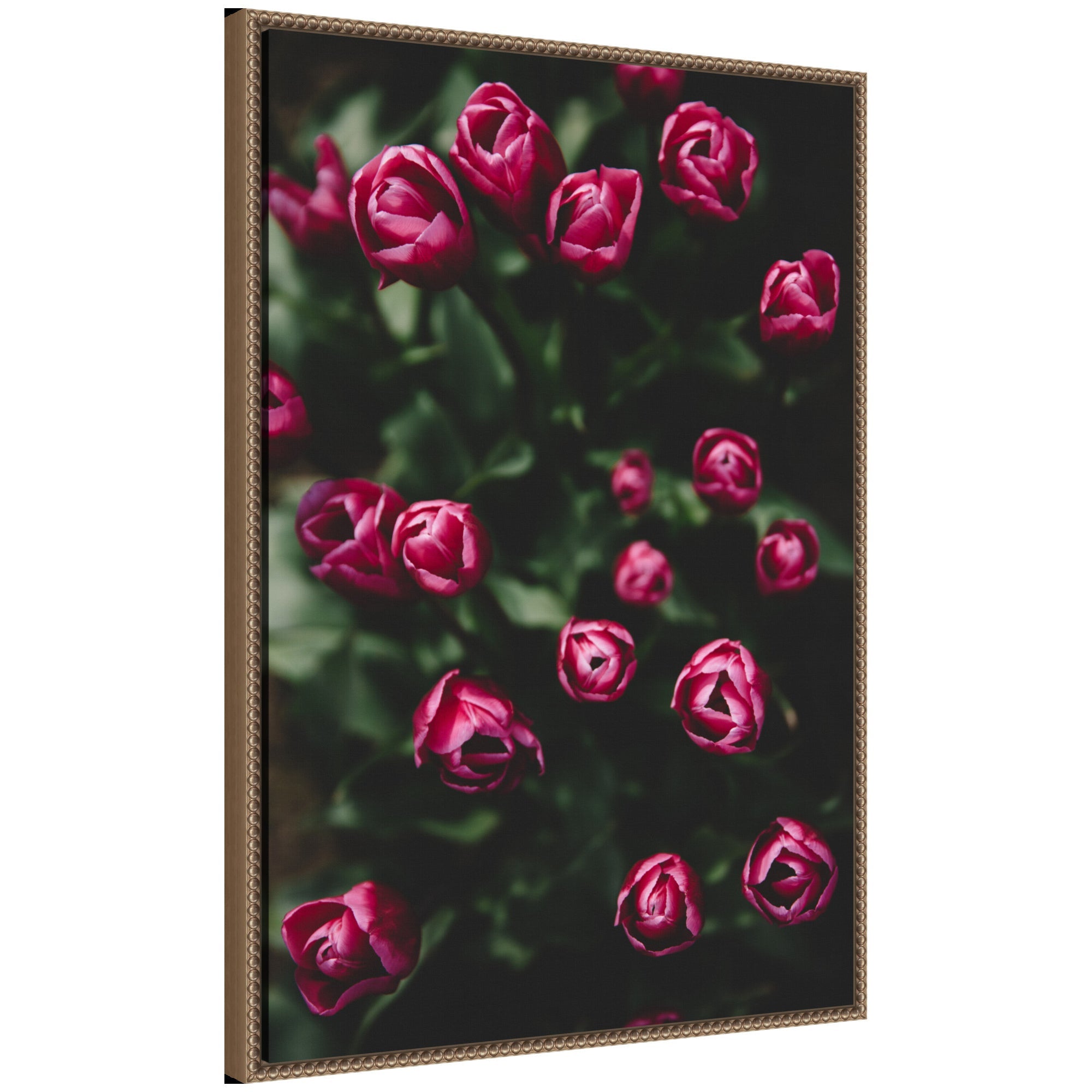 Sylvie Moody Dark Pink Tulips in Bloom framed canvas artwork showing vivid dark pink tulips with green leaves in a floating dark gold frame.